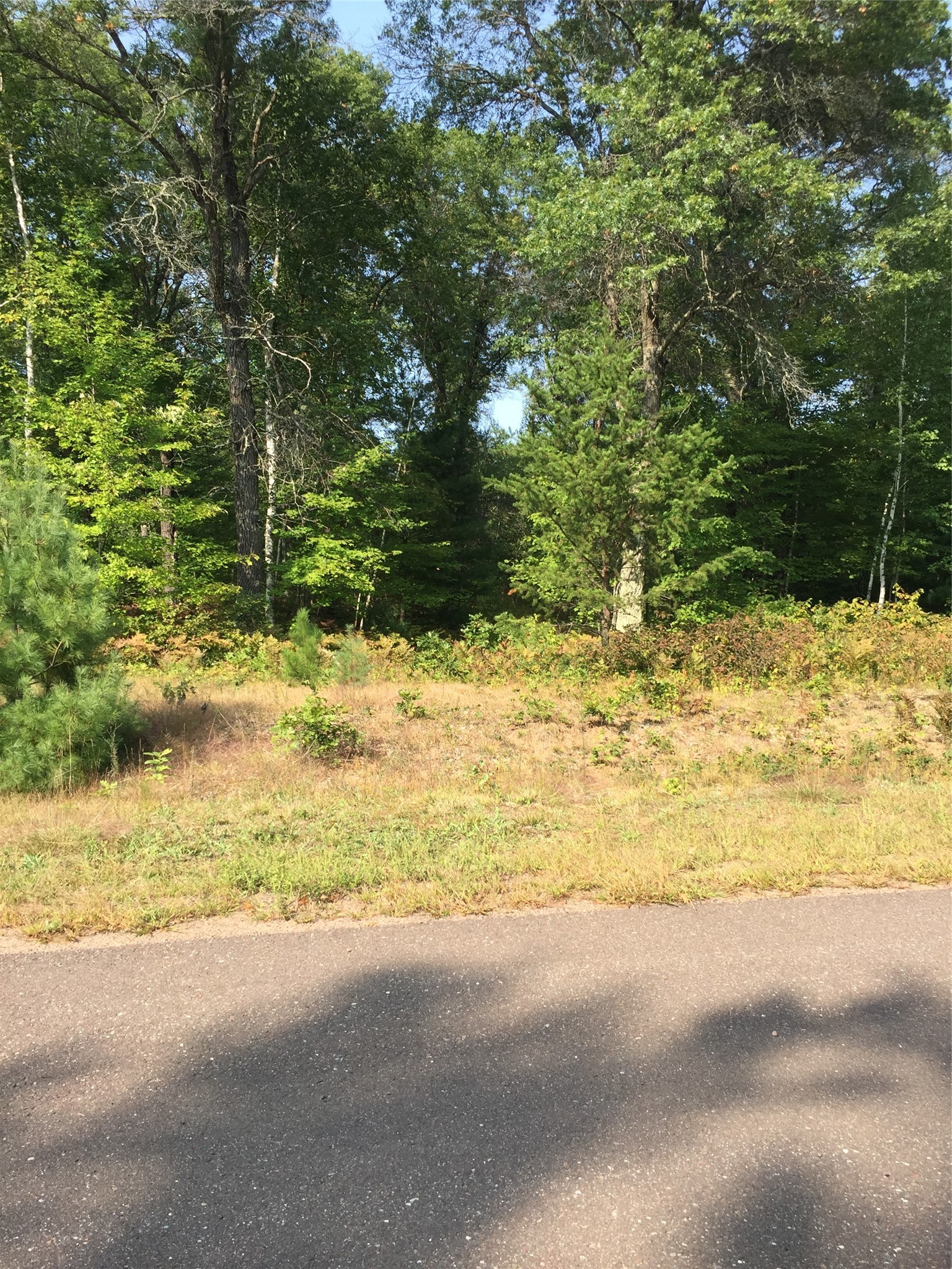 Lot 34 Shady Lane Property Photo 3