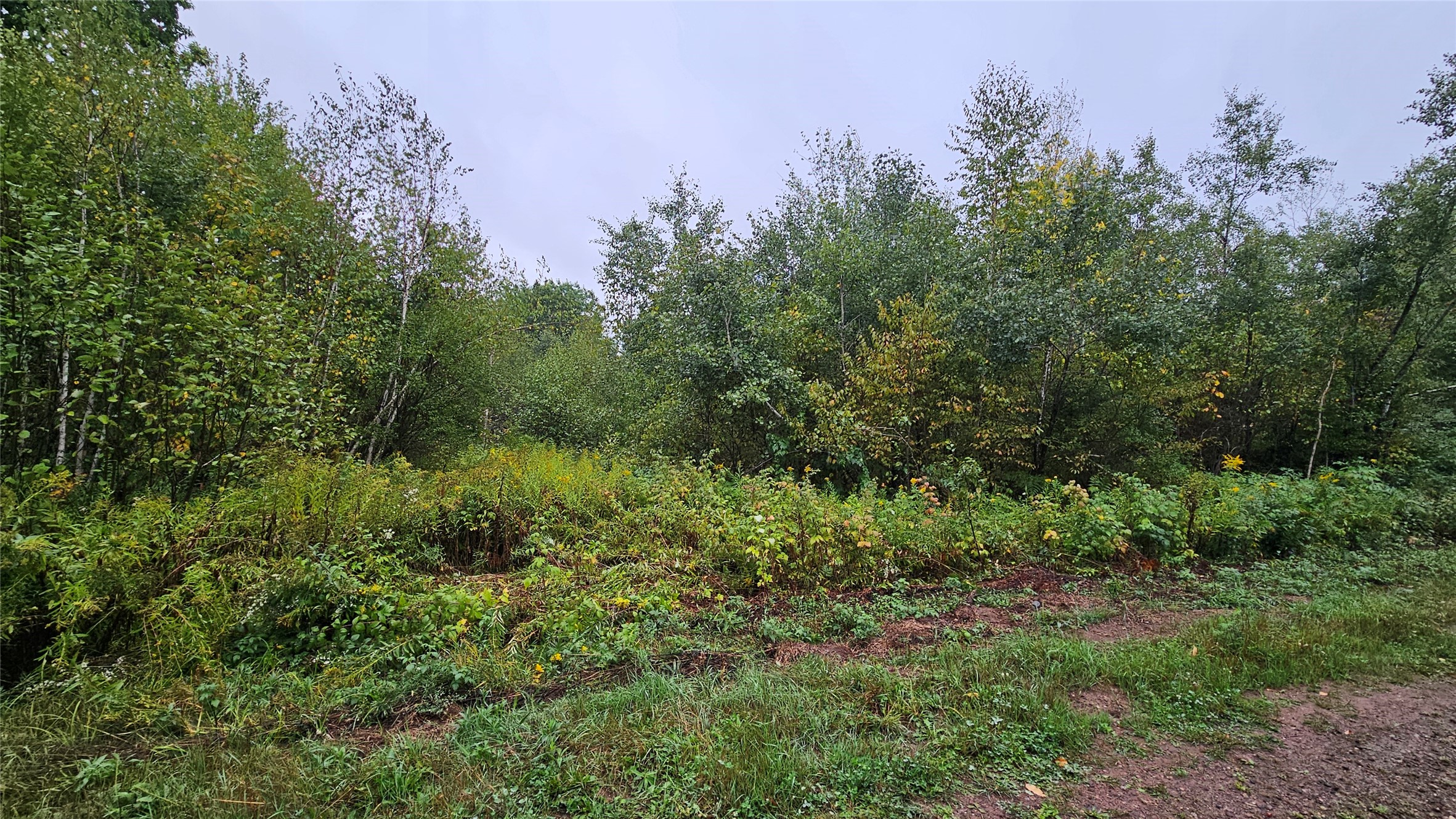 0 Anderson Lane Property Photo 2