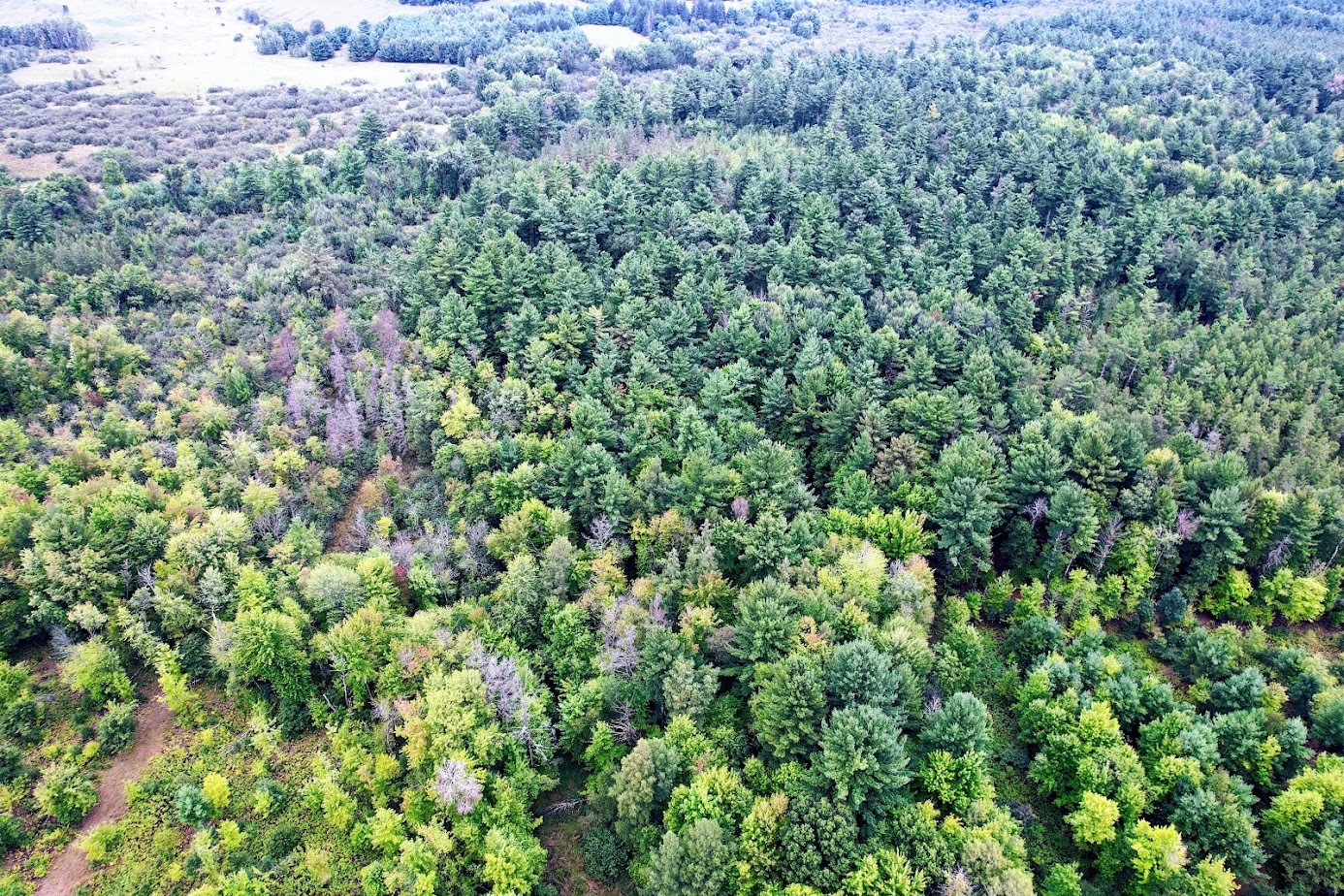 Lot 3 State Hwy 64 Property Photo 4