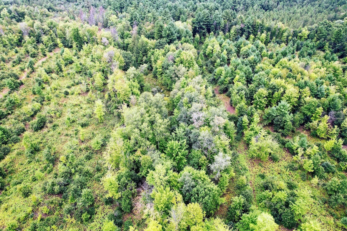 Lot 3 State Hwy 64 Property Photo 8