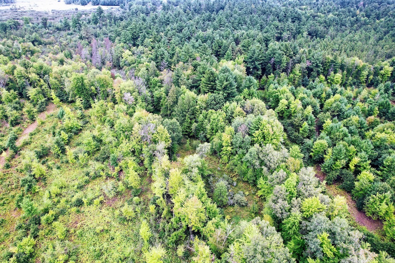 Lot 3 State Hwy 64 Property Photo 9