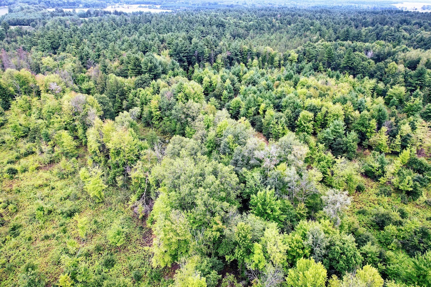 Lot 3 State Hwy 64 Property Photo 10