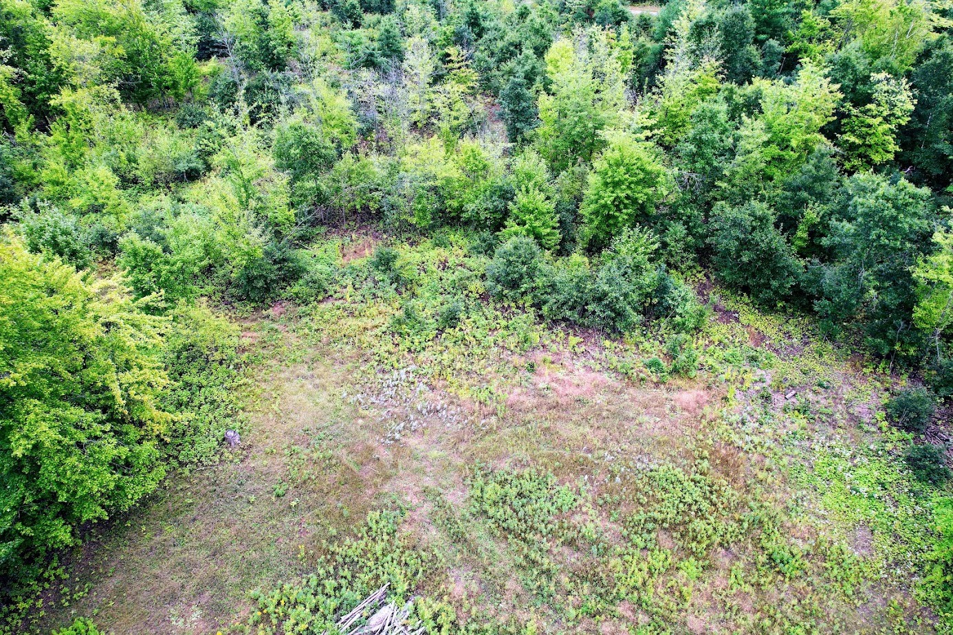 Lot 3 State Hwy 64 Property Photo 11