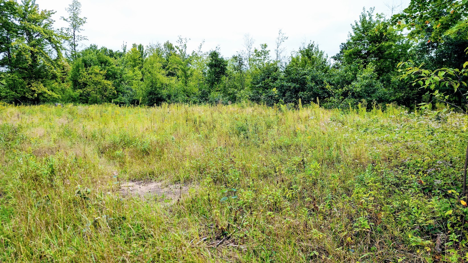 Lot 3 State Hwy 64 Property Photo 13