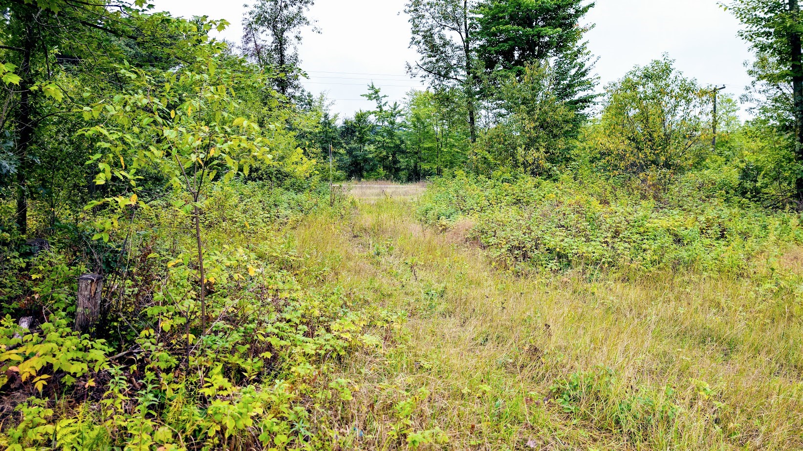 Lot 3 State Hwy 64 Property Photo 14