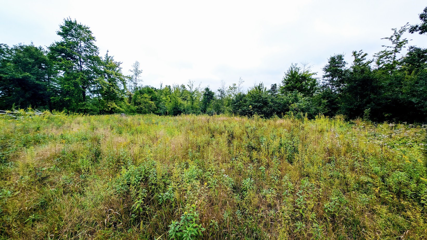 Lot 3 State Hwy 64 Property Photo 15