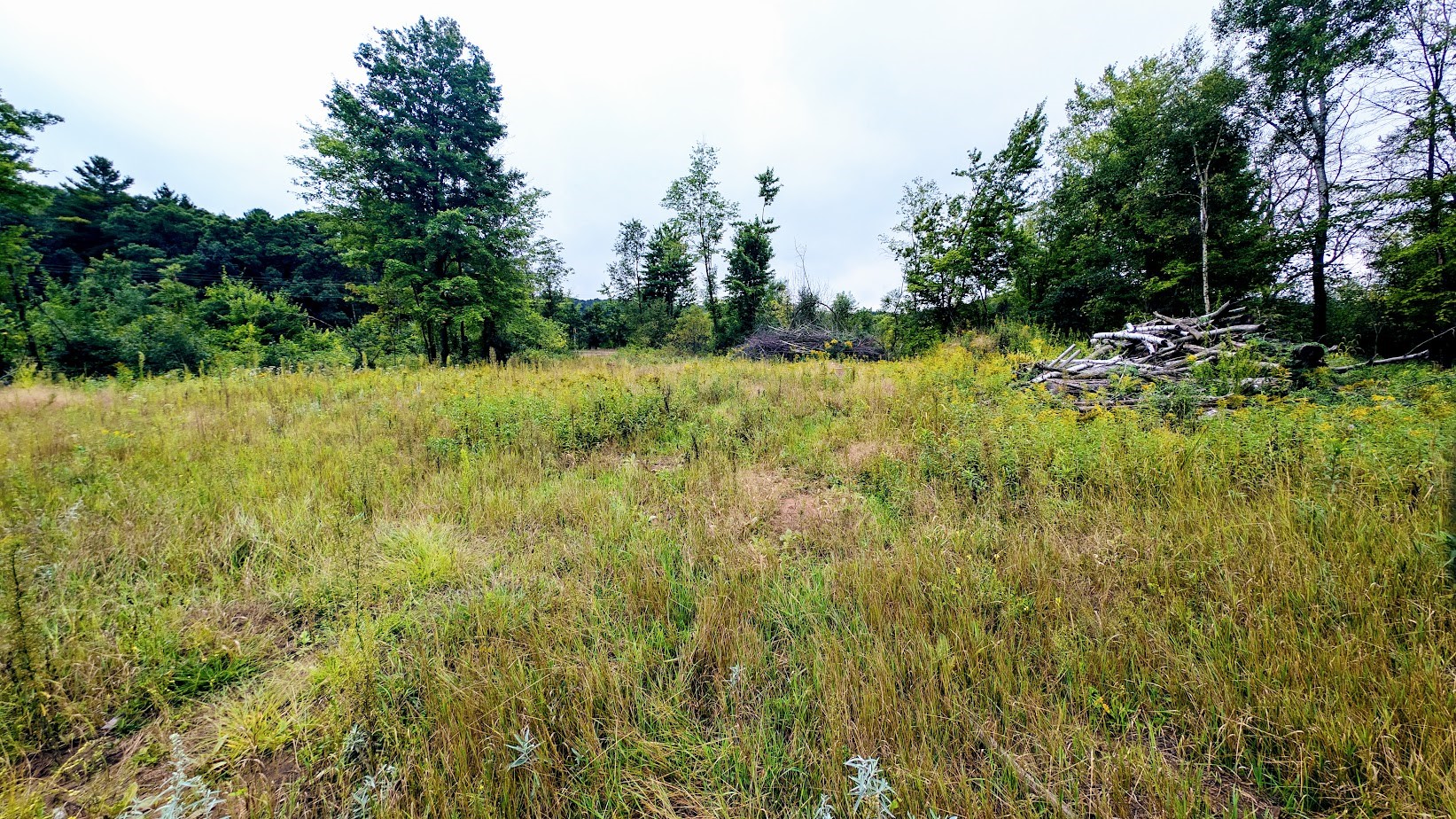 Lot 3 State Hwy 64 Property Photo 16
