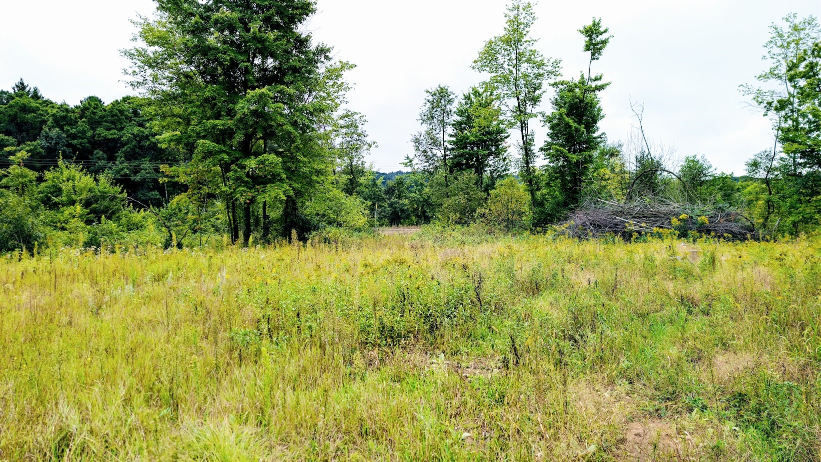 Lot 3 State Hwy 64 Property Photo 17