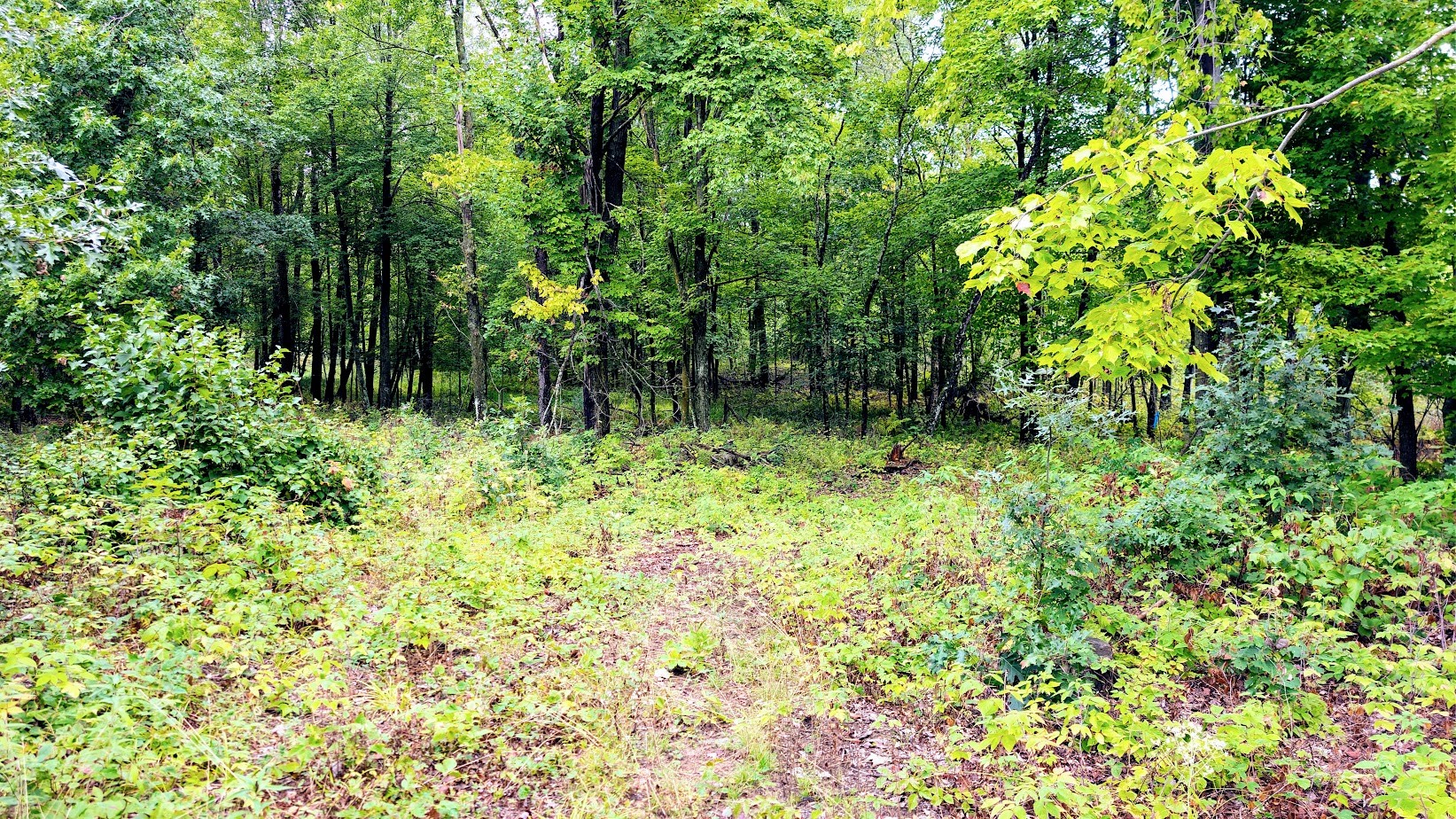 Lot 3 State Hwy 64 Property Photo 20