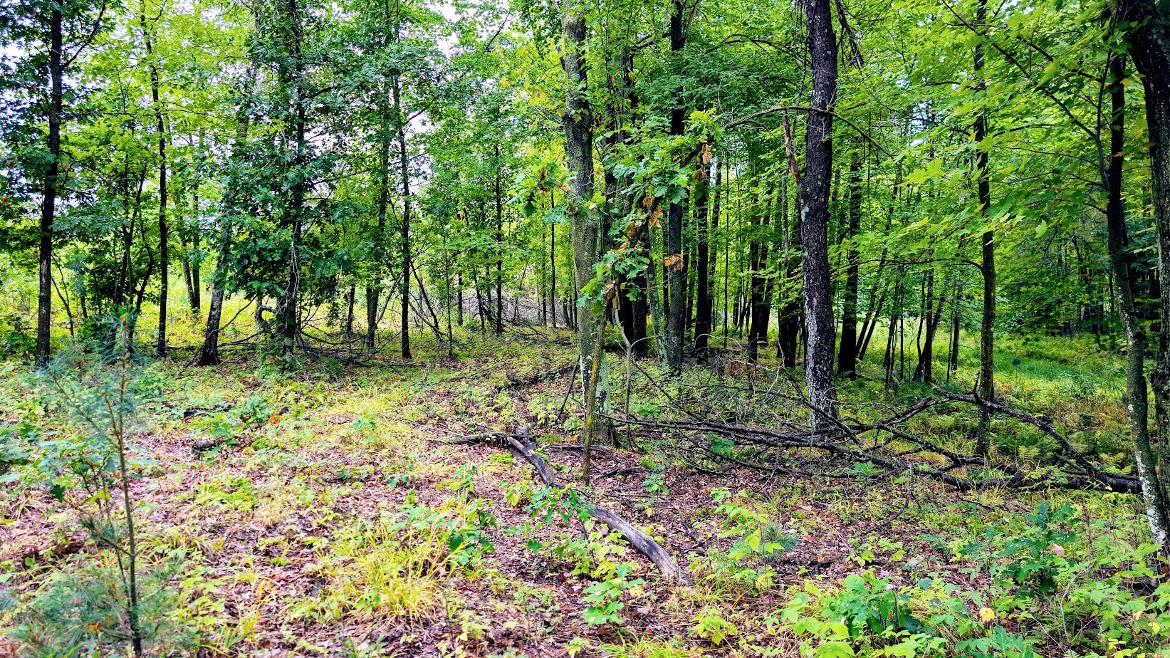 Lot 3 State Hwy 64 Property Photo 23