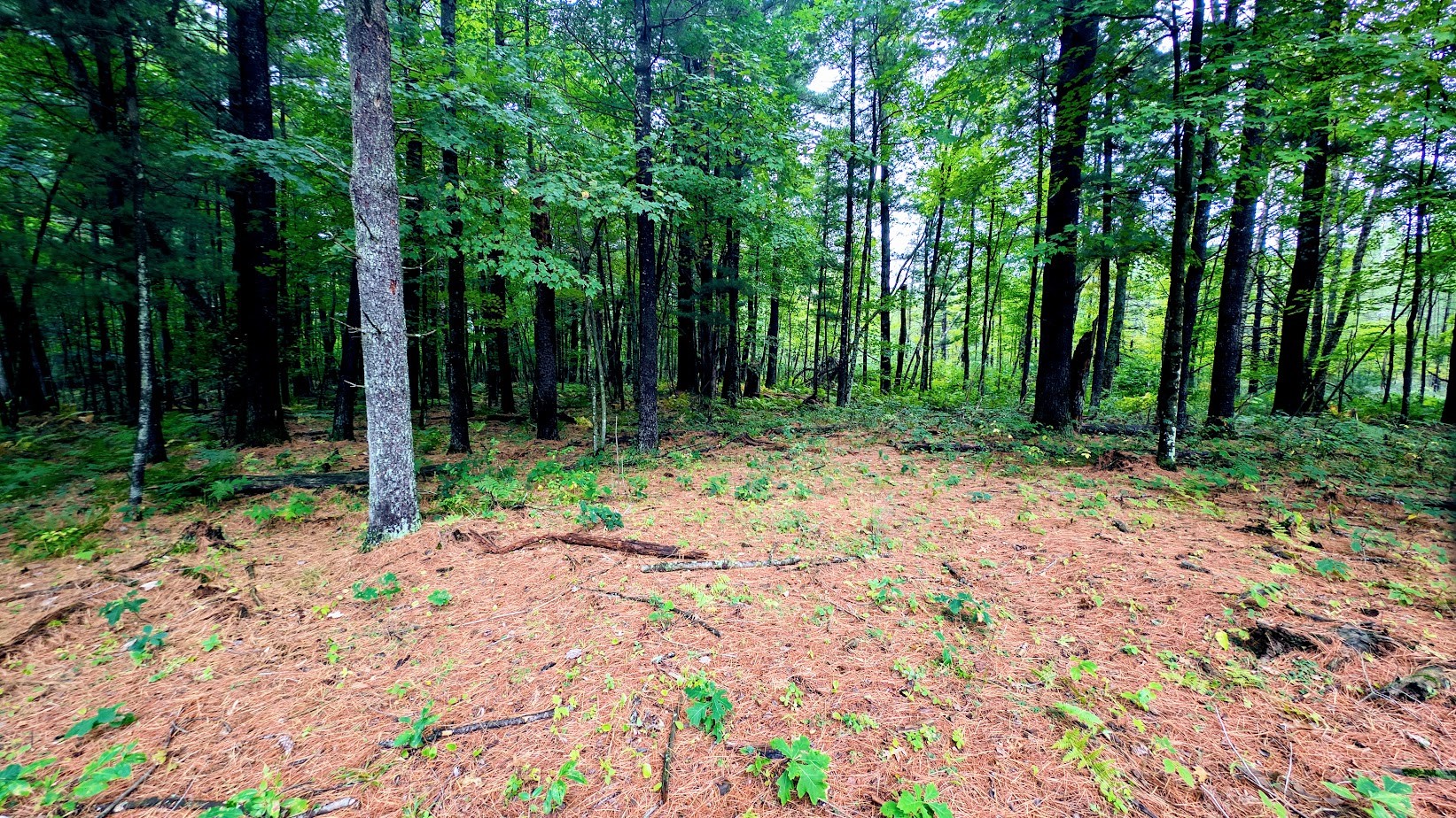 Lot 3 State Hwy 64 Property Photo 40