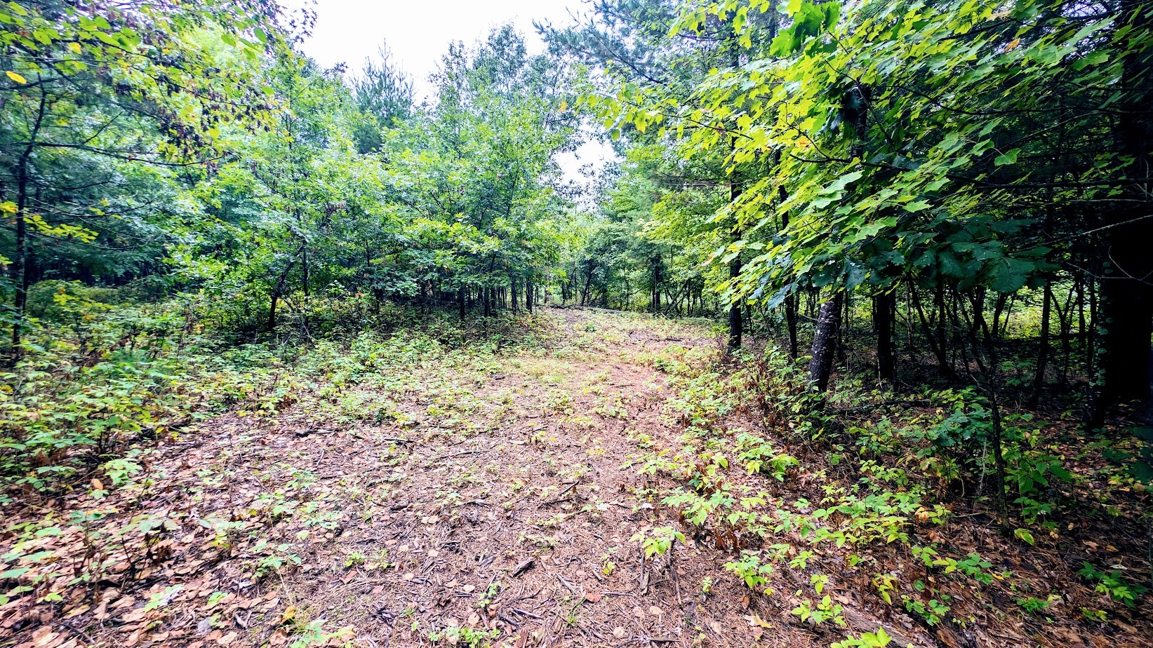 Lot 3 State Hwy 64 Property Photo 41