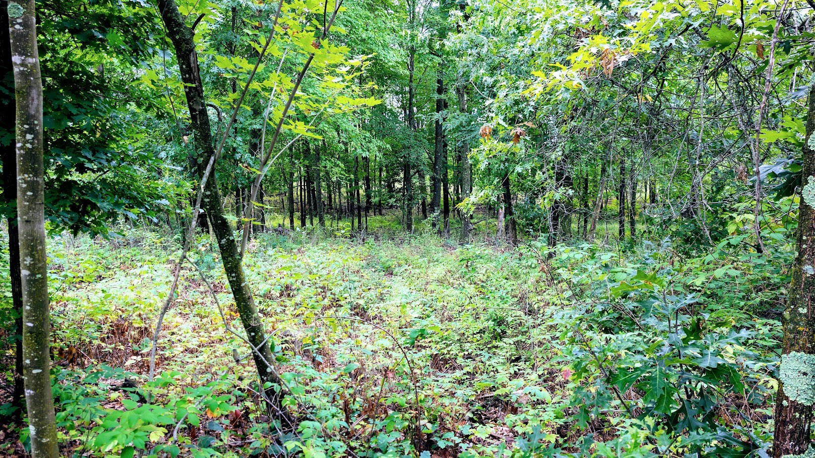 Lot 3 State Hwy 64 Property Photo 43