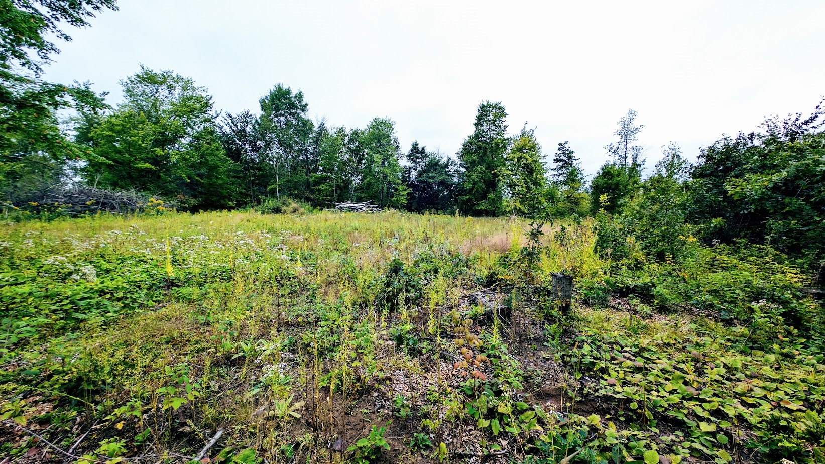 Lot 3 State Hwy 64 Property Photo 48