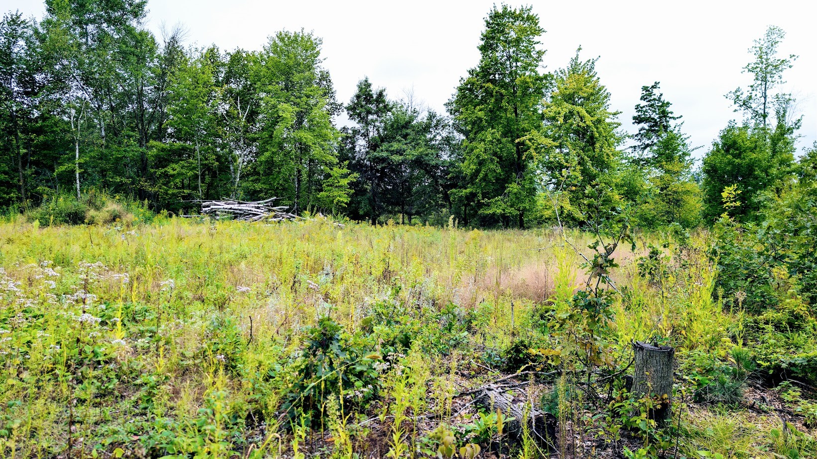 Lot 3 State Hwy 64 Property Photo 49