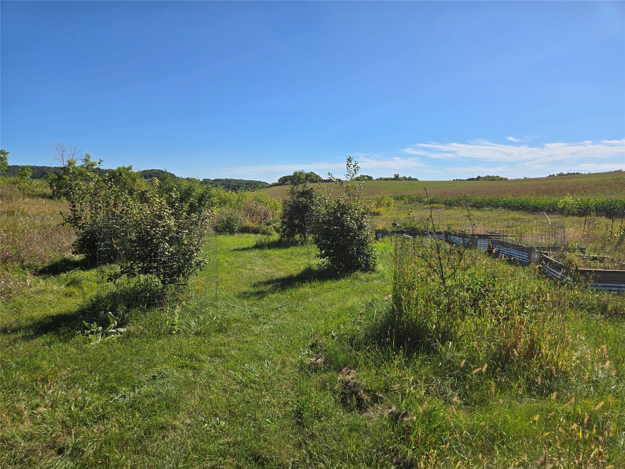 N2668 County Road Y Property Photo 12