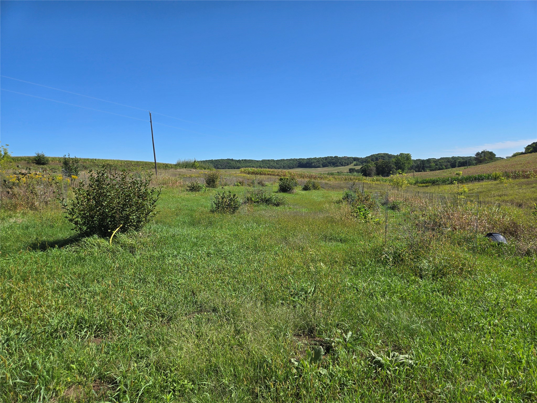 N2668 County Road Y Property Photo 13