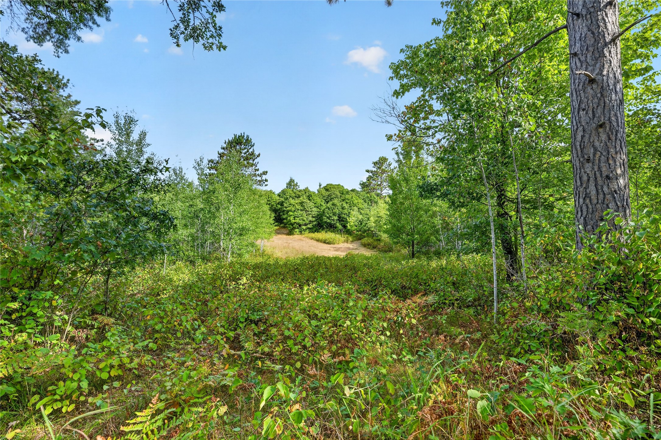 1440 Gronemus Road Property Photo 34