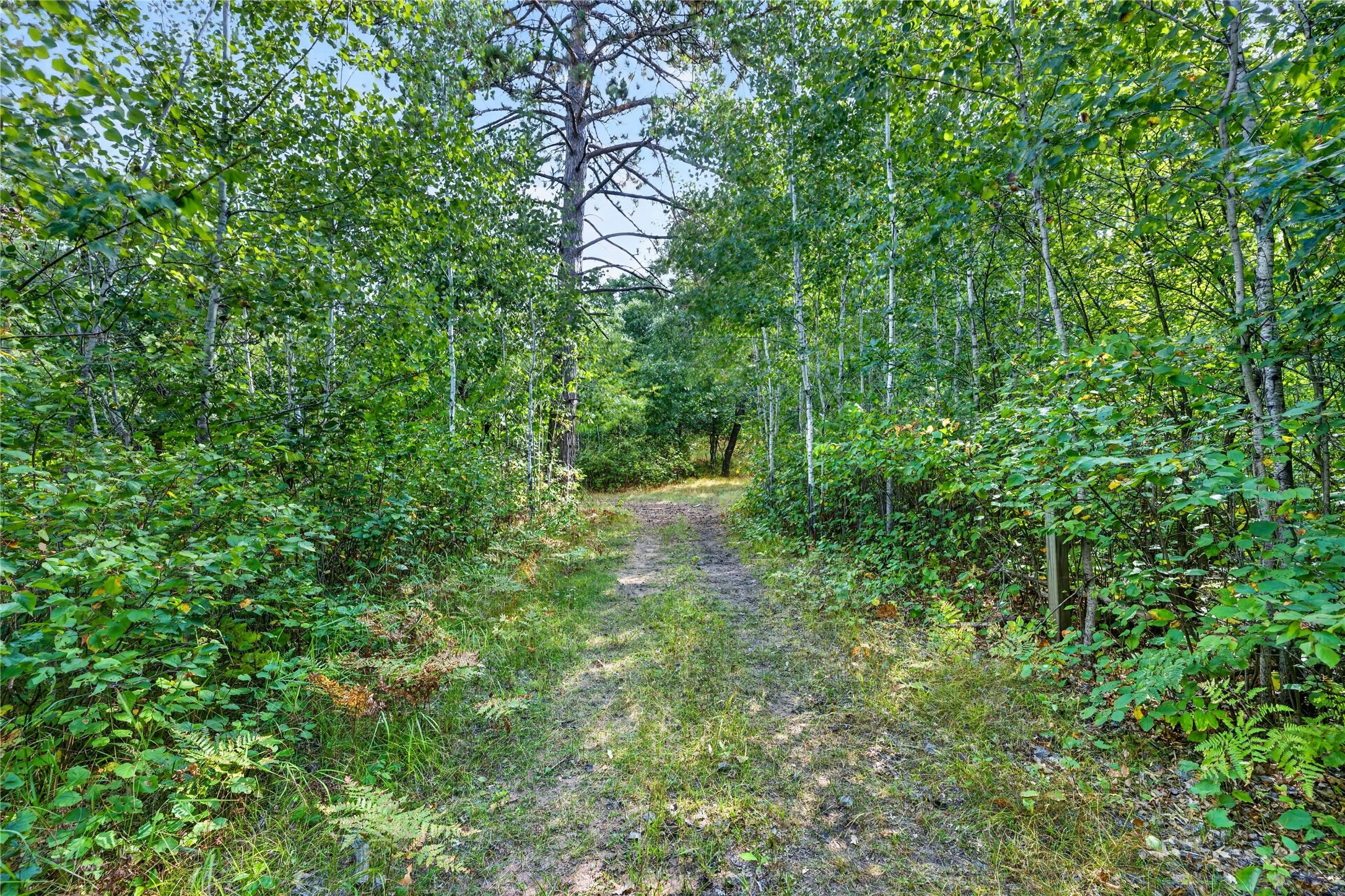 1440 Gronemus Road Property Photo 35