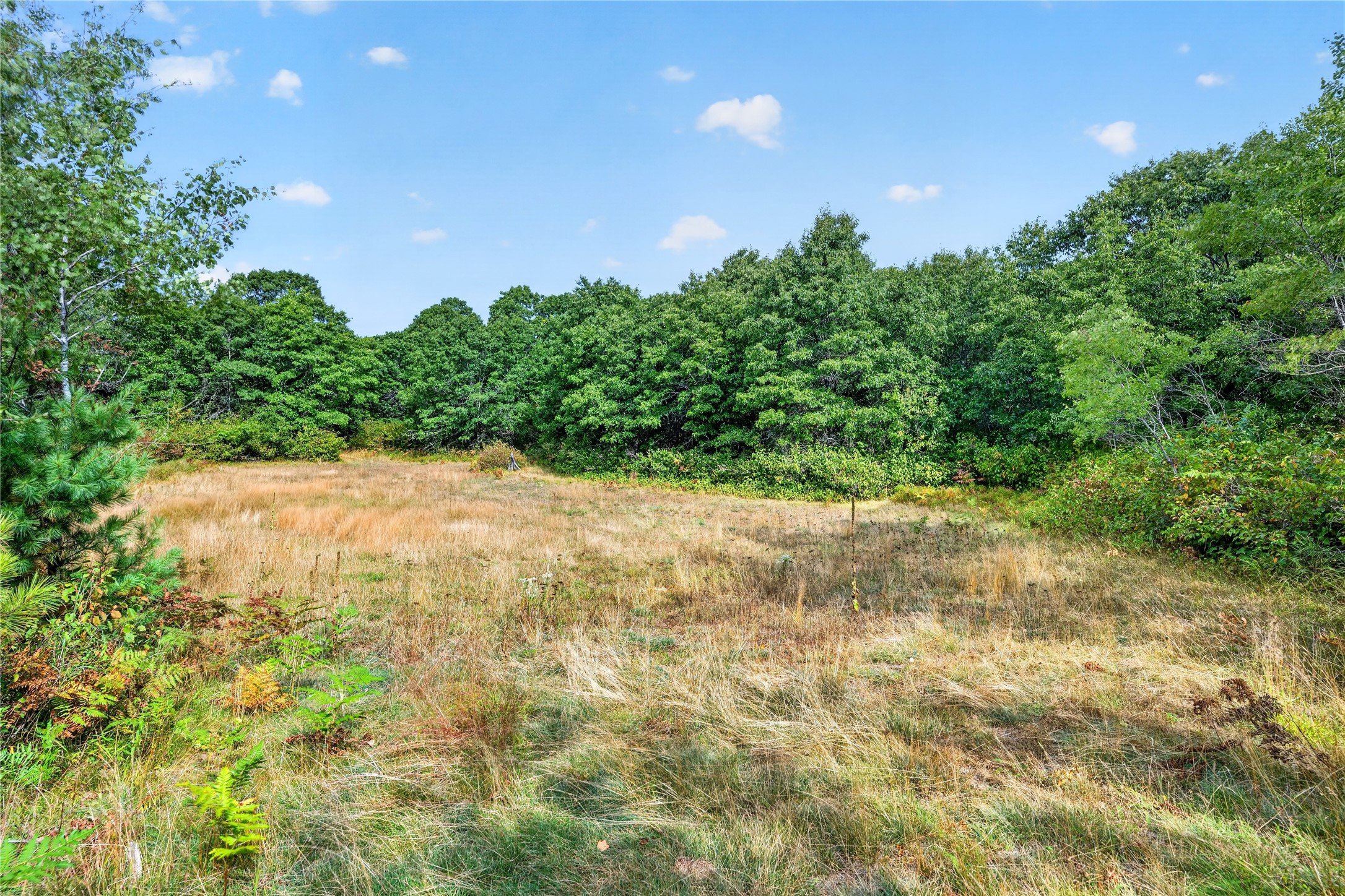 1440 Gronemus Road Property Photo 38