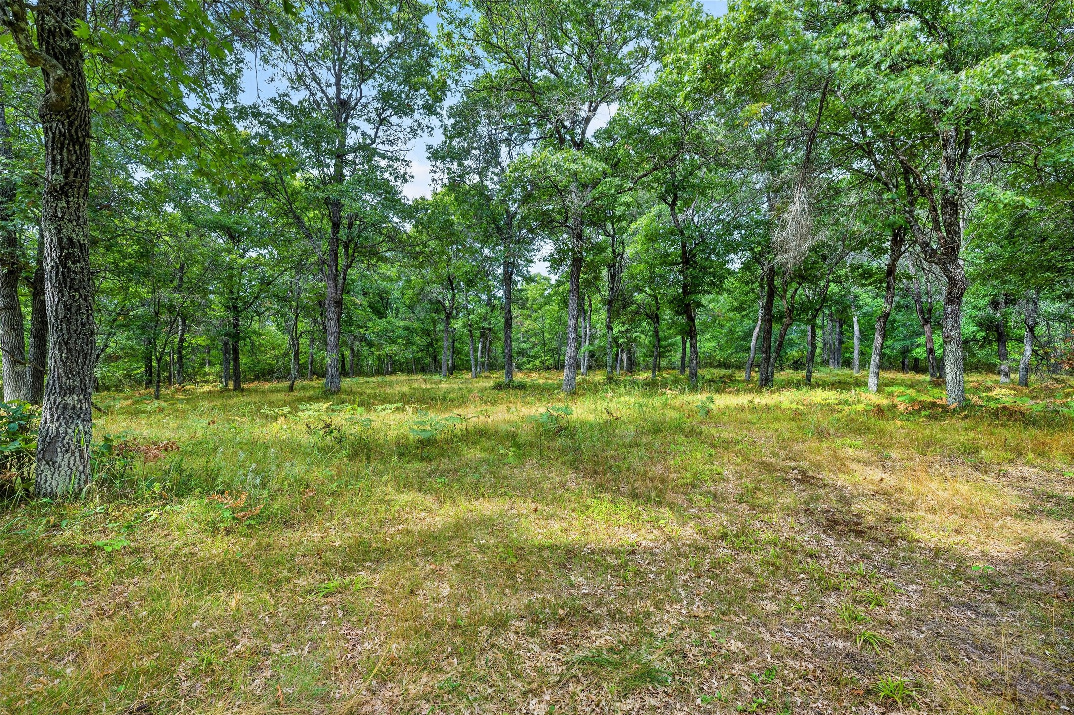 1440 Gronemus Road Property Photo 41