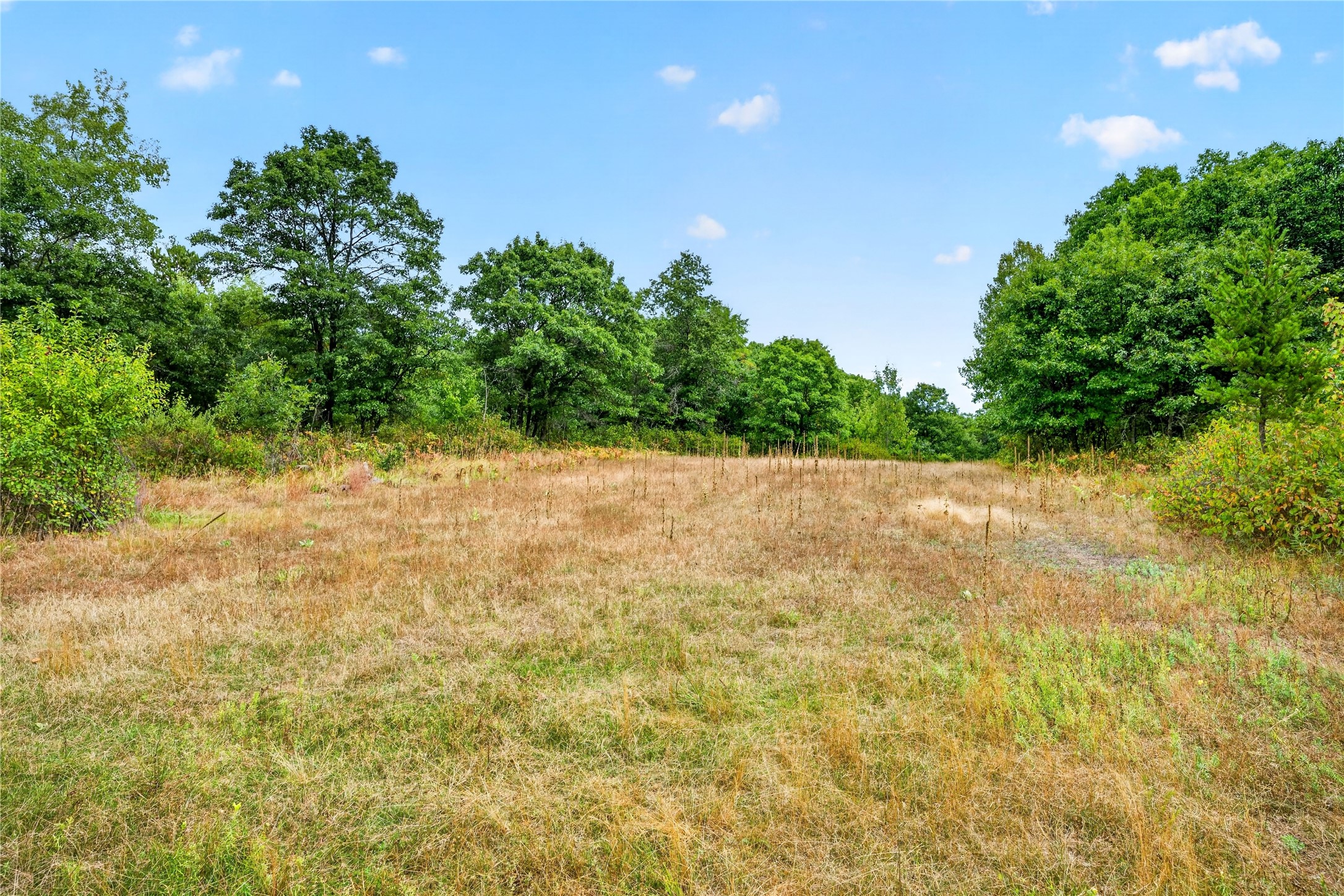 1440 Gronemus Road Property Photo 43