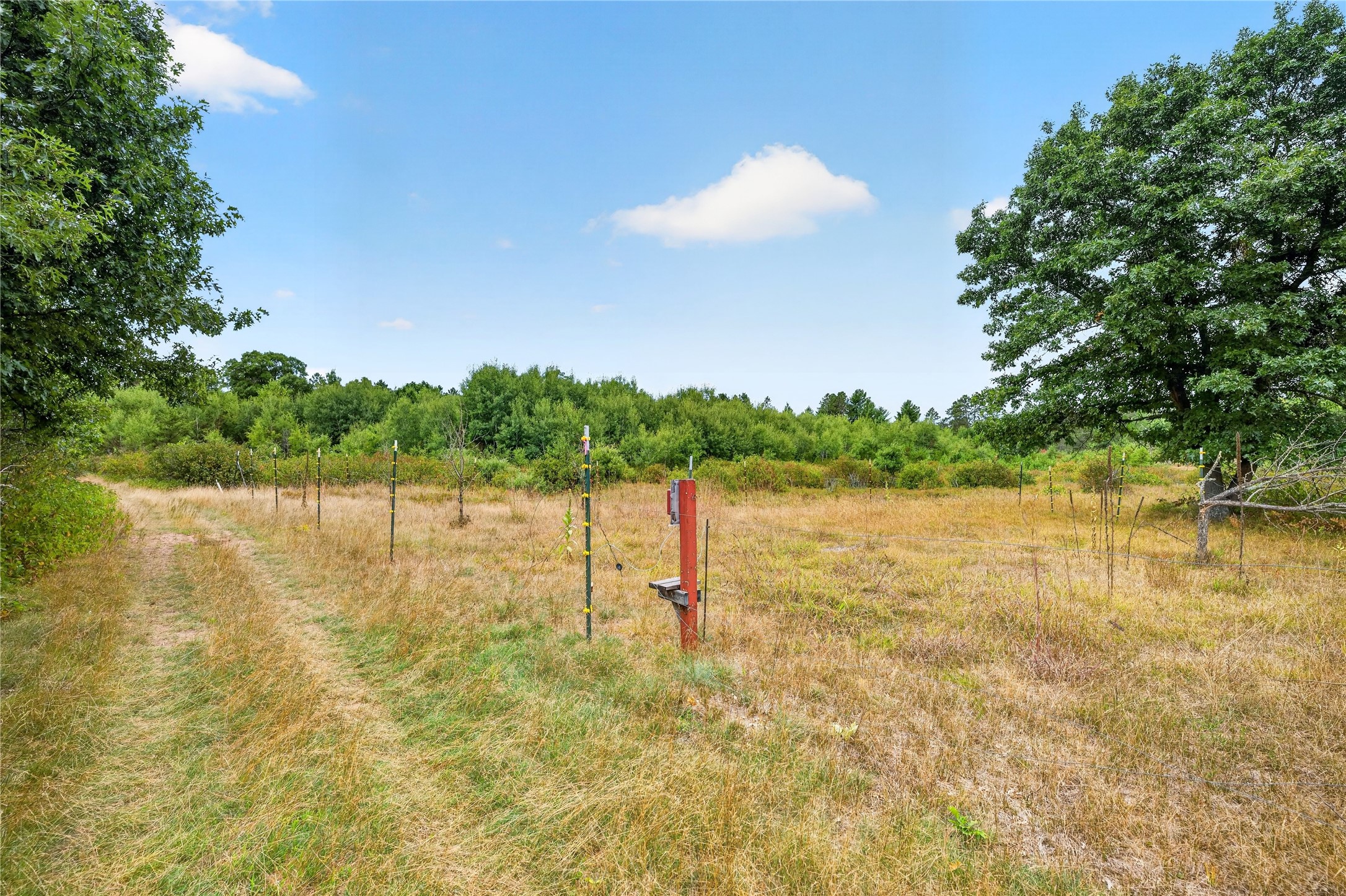 1440 Gronemus Road Property Photo 45