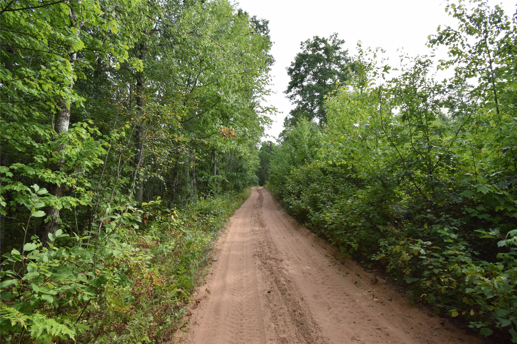 28206 Pardun Road Property Photo 5