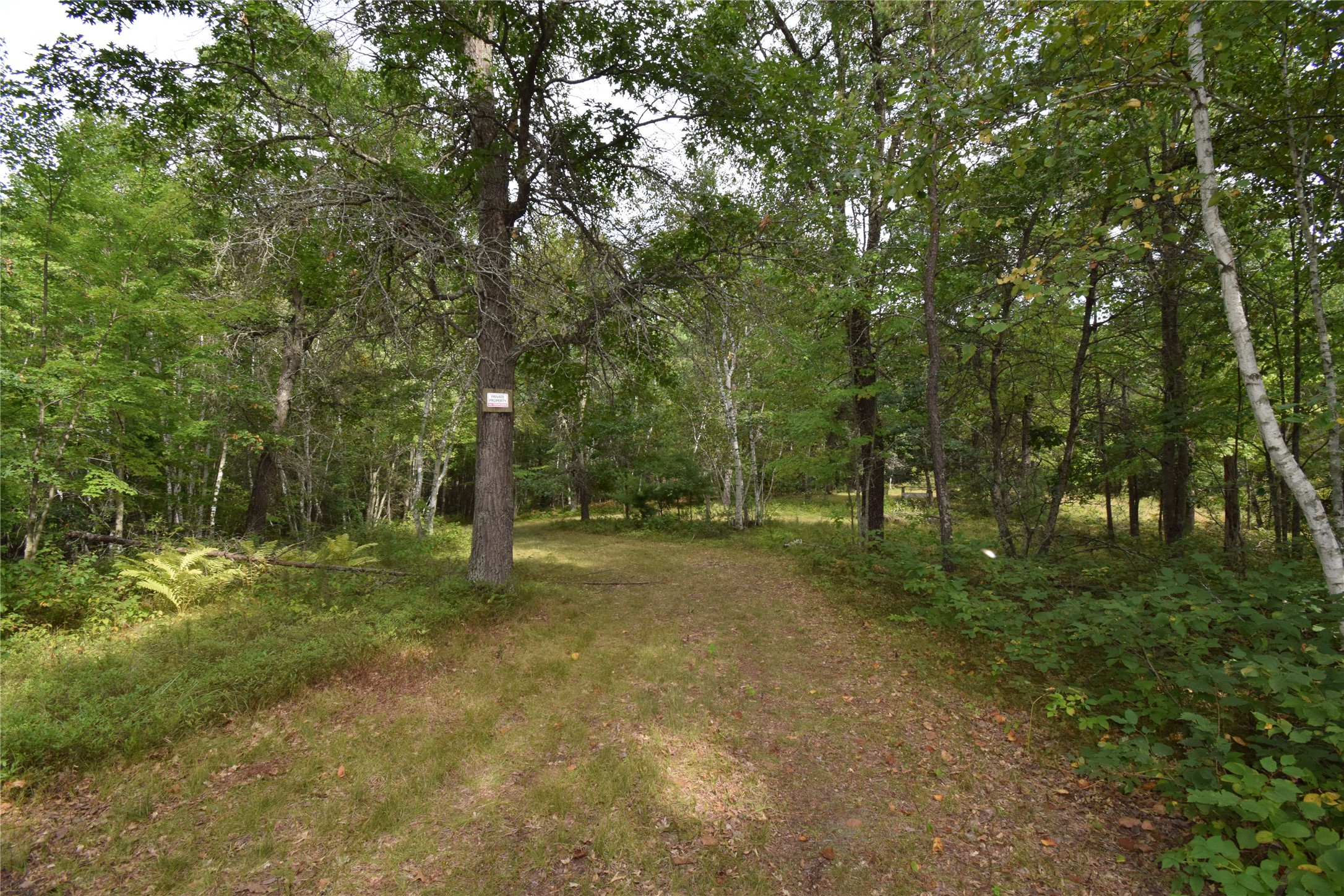 28206 Pardun Road Property Photo 8