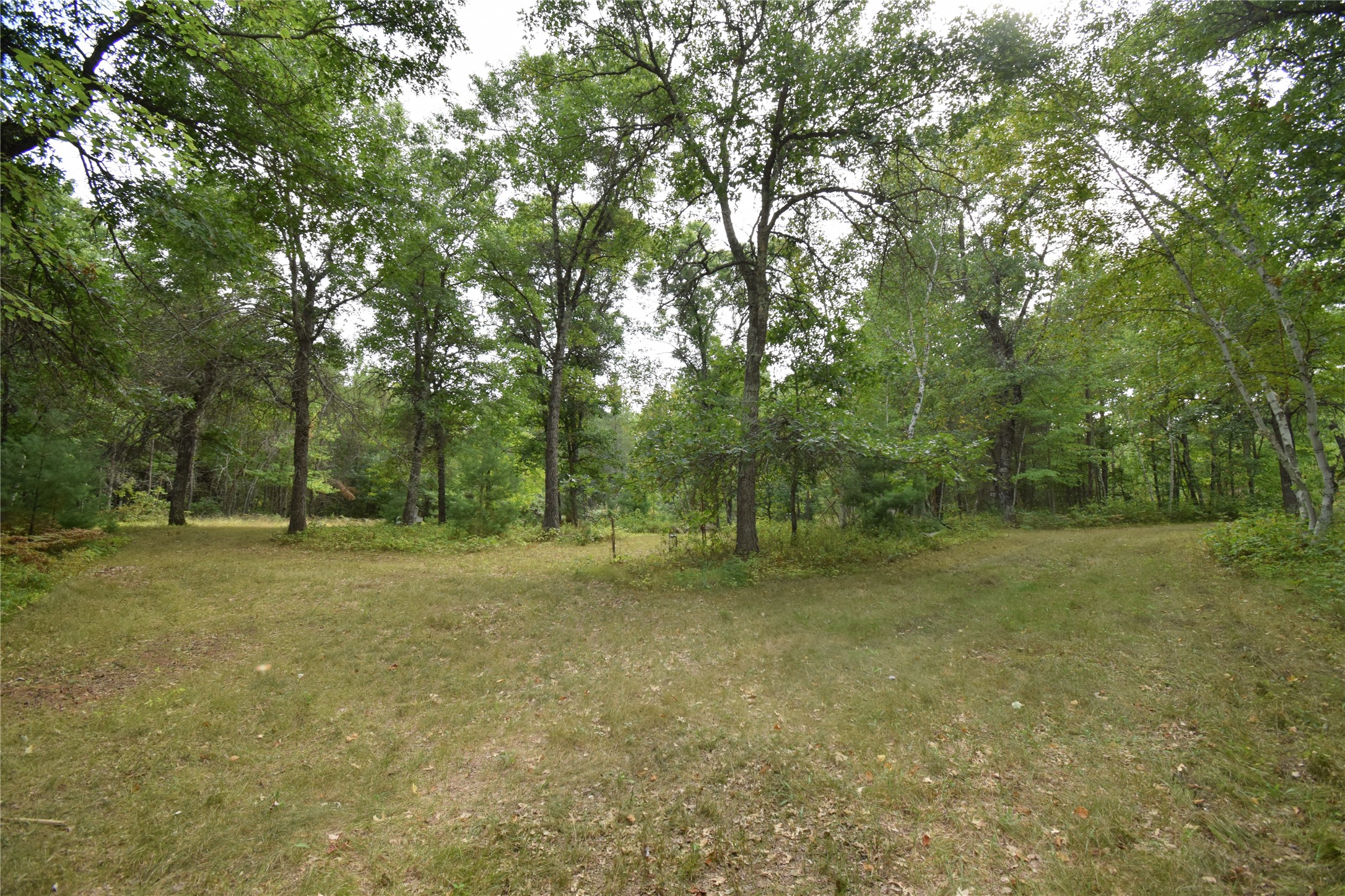 28206 Pardun Road Property Photo 9