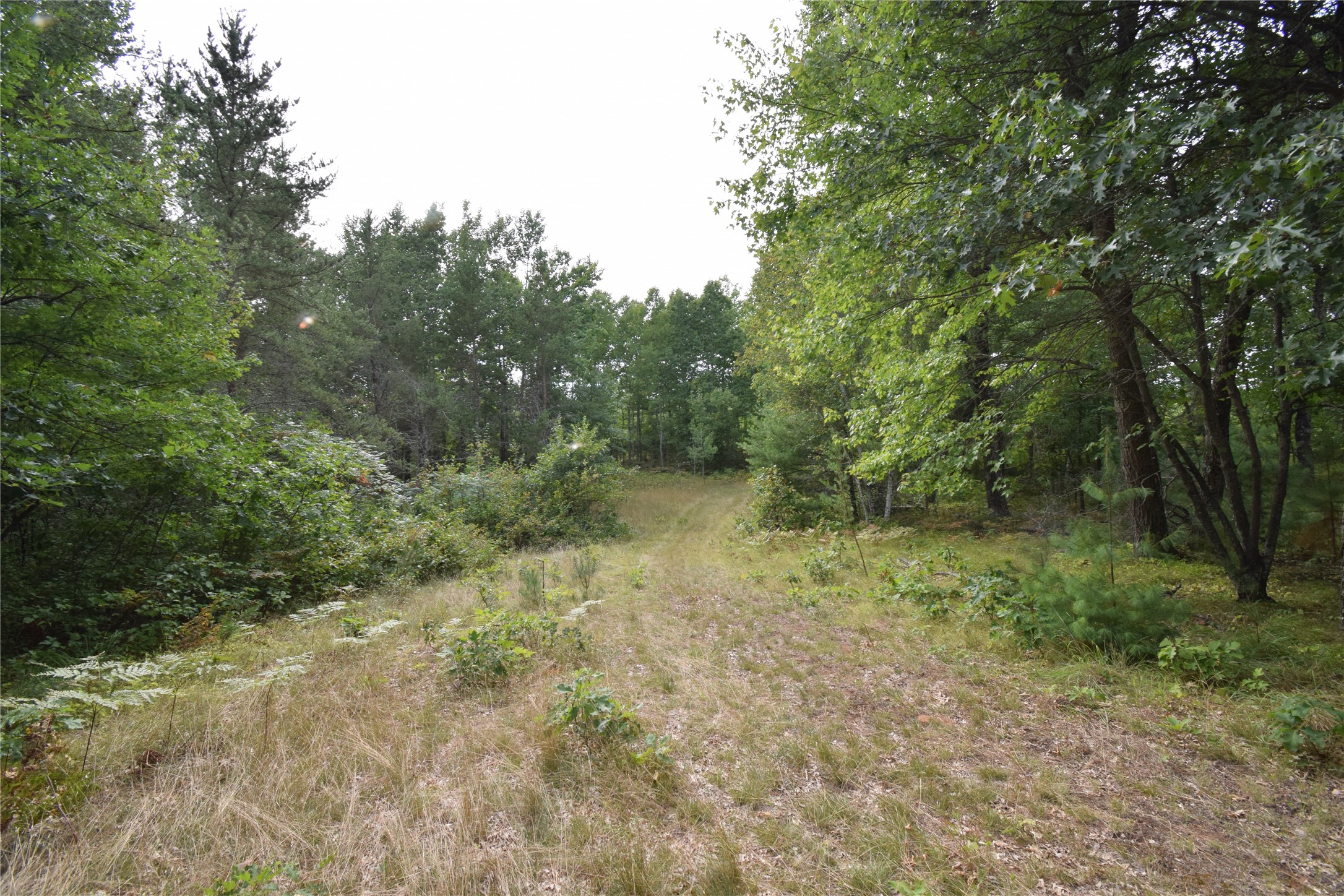 28206 Pardun Road Property Photo 15