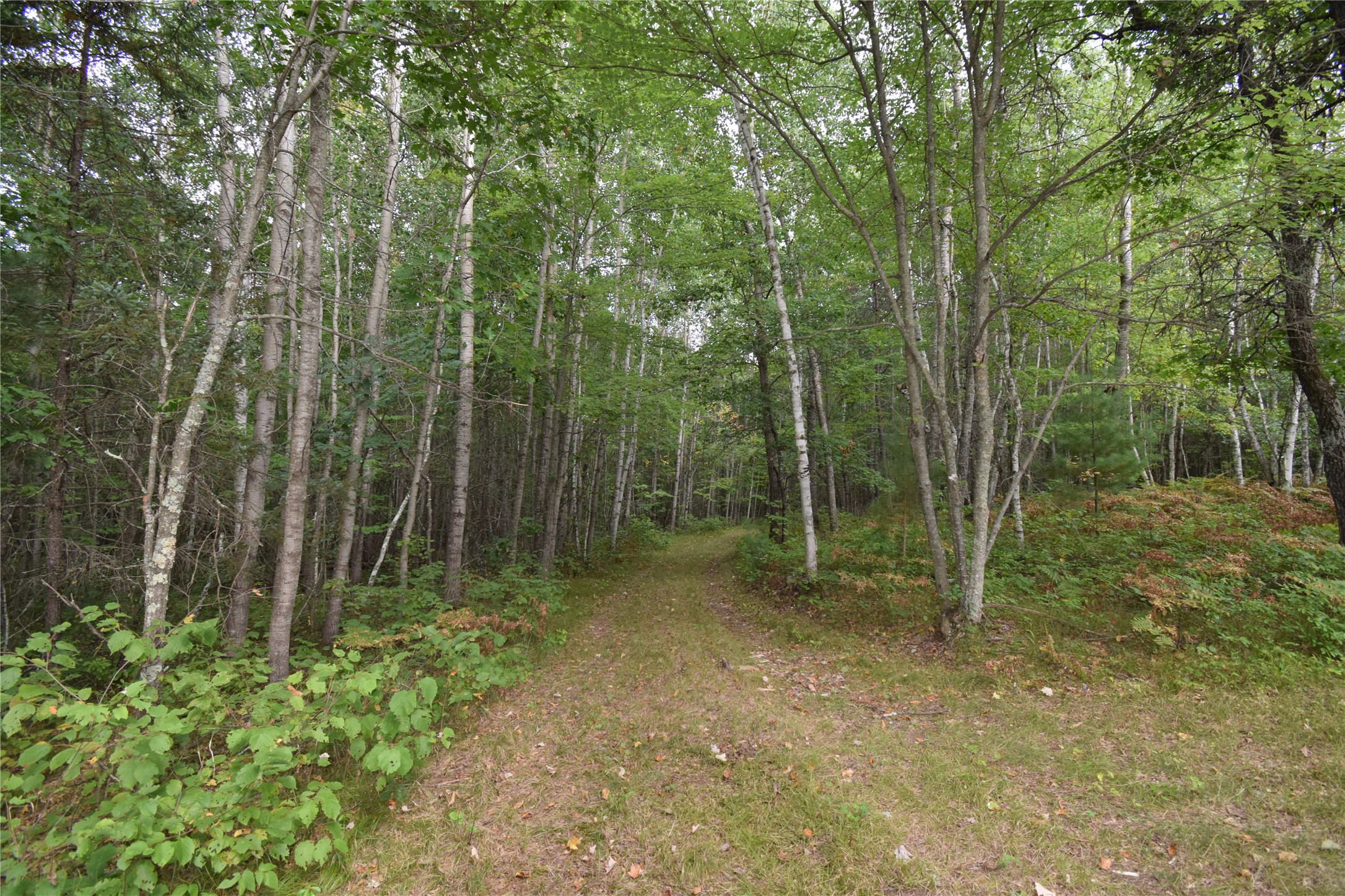 28206 Pardun Road Property Photo 17