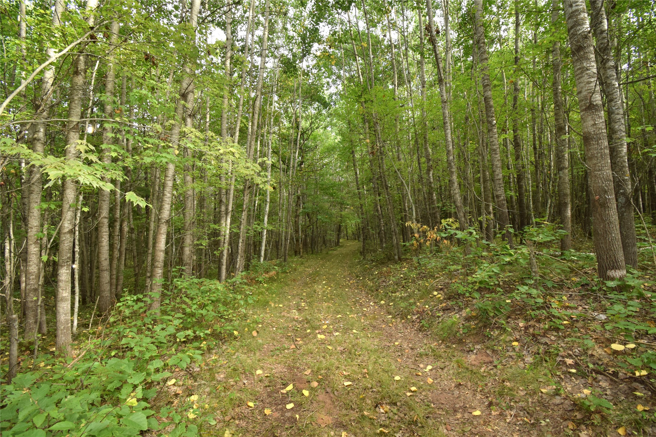 28206 Pardun Road Property Photo 18