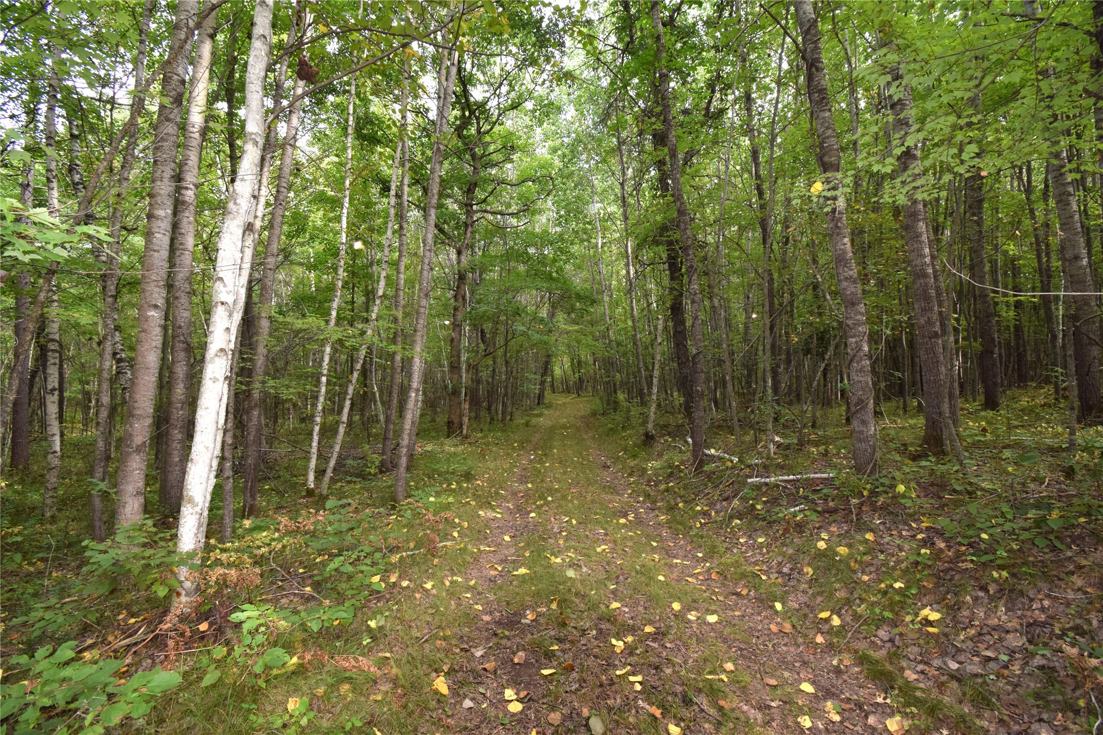 28206 Pardun Road Property Photo 19