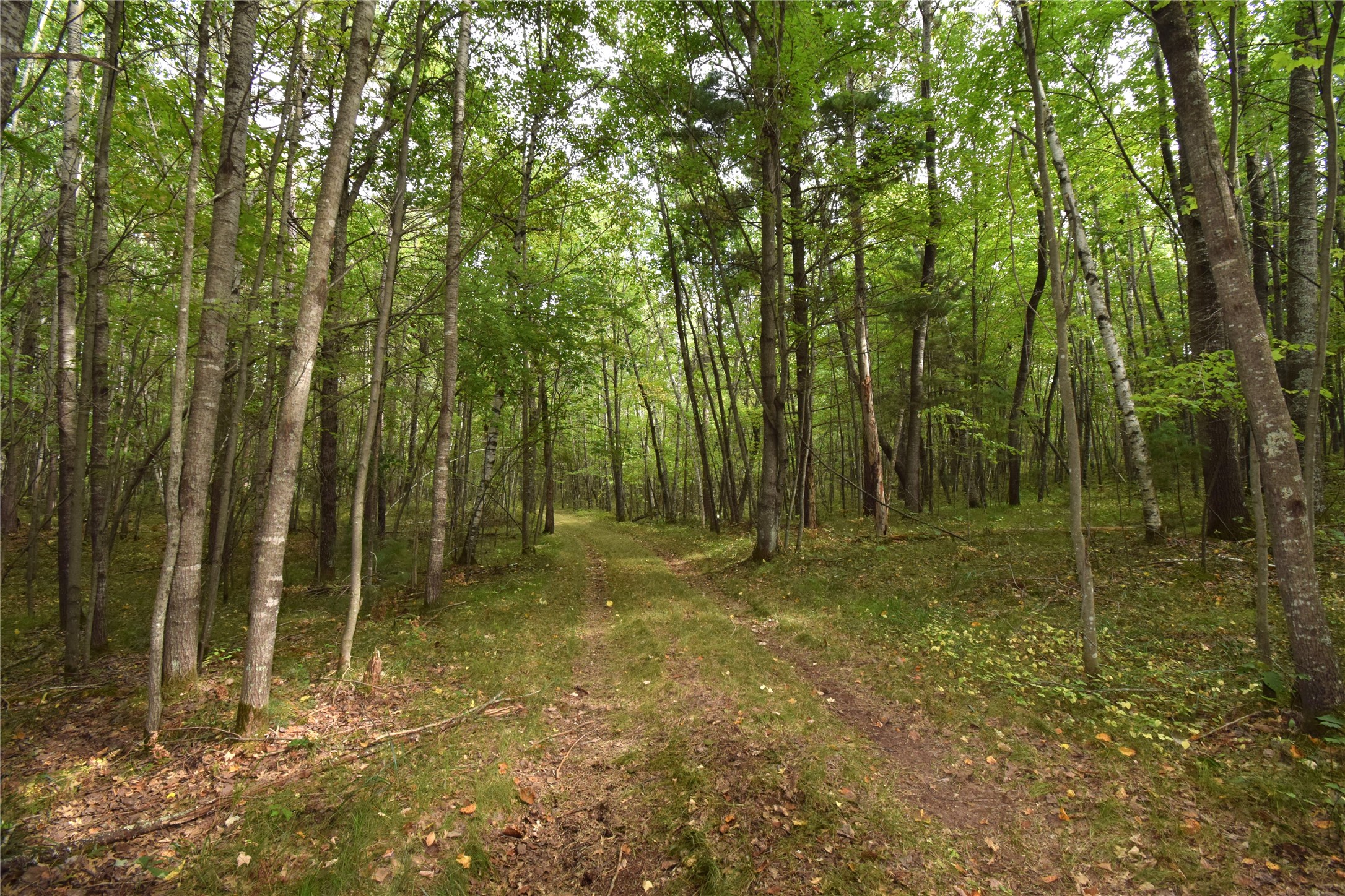 28206 Pardun Road Property Photo 20