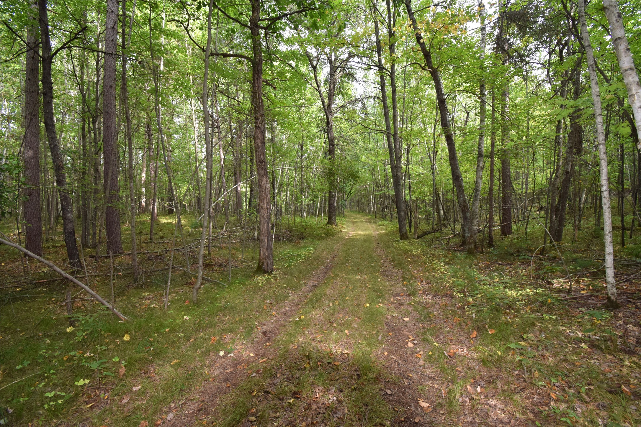 28206 Pardun Road Property Photo 21