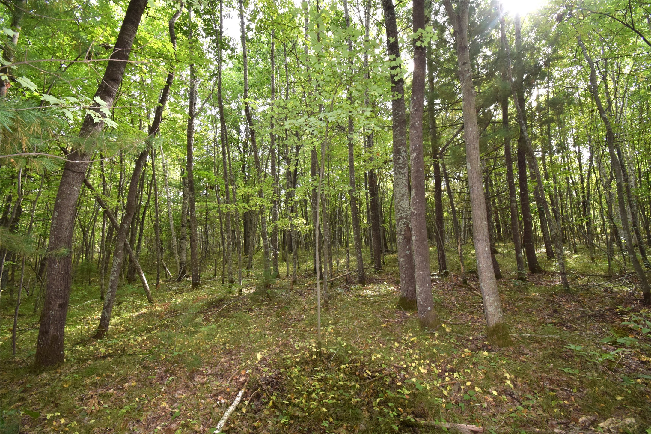 28206 Pardun Road Property Photo 22