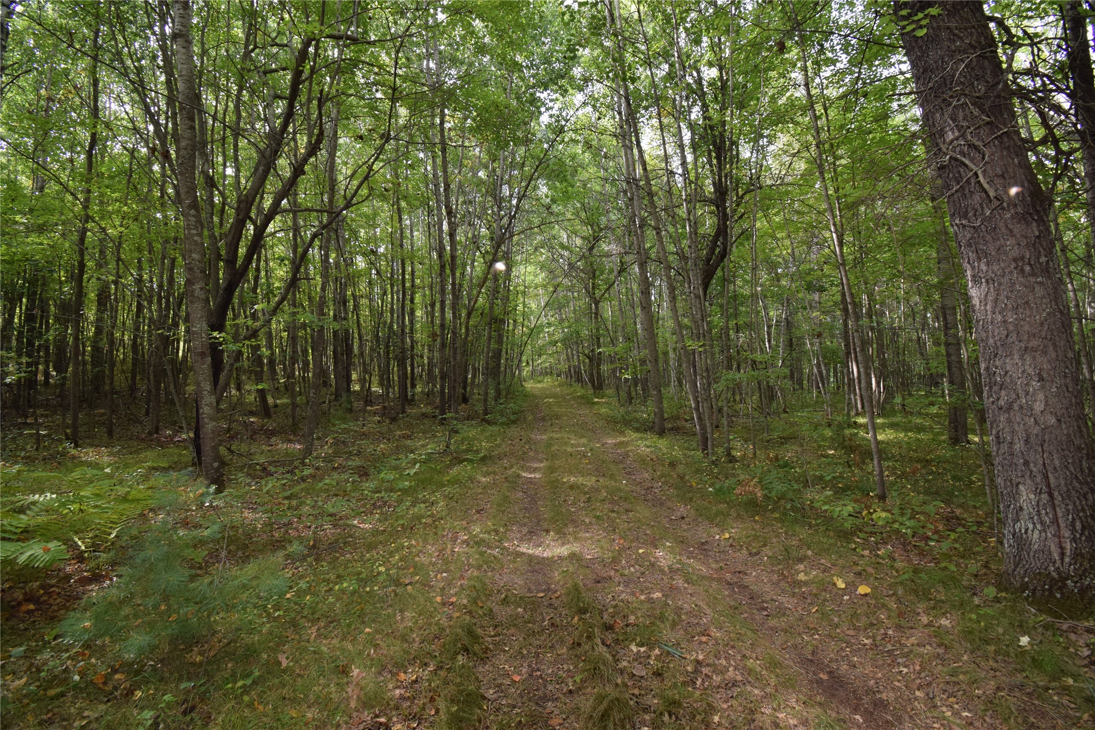 28206 Pardun Road Property Photo 23