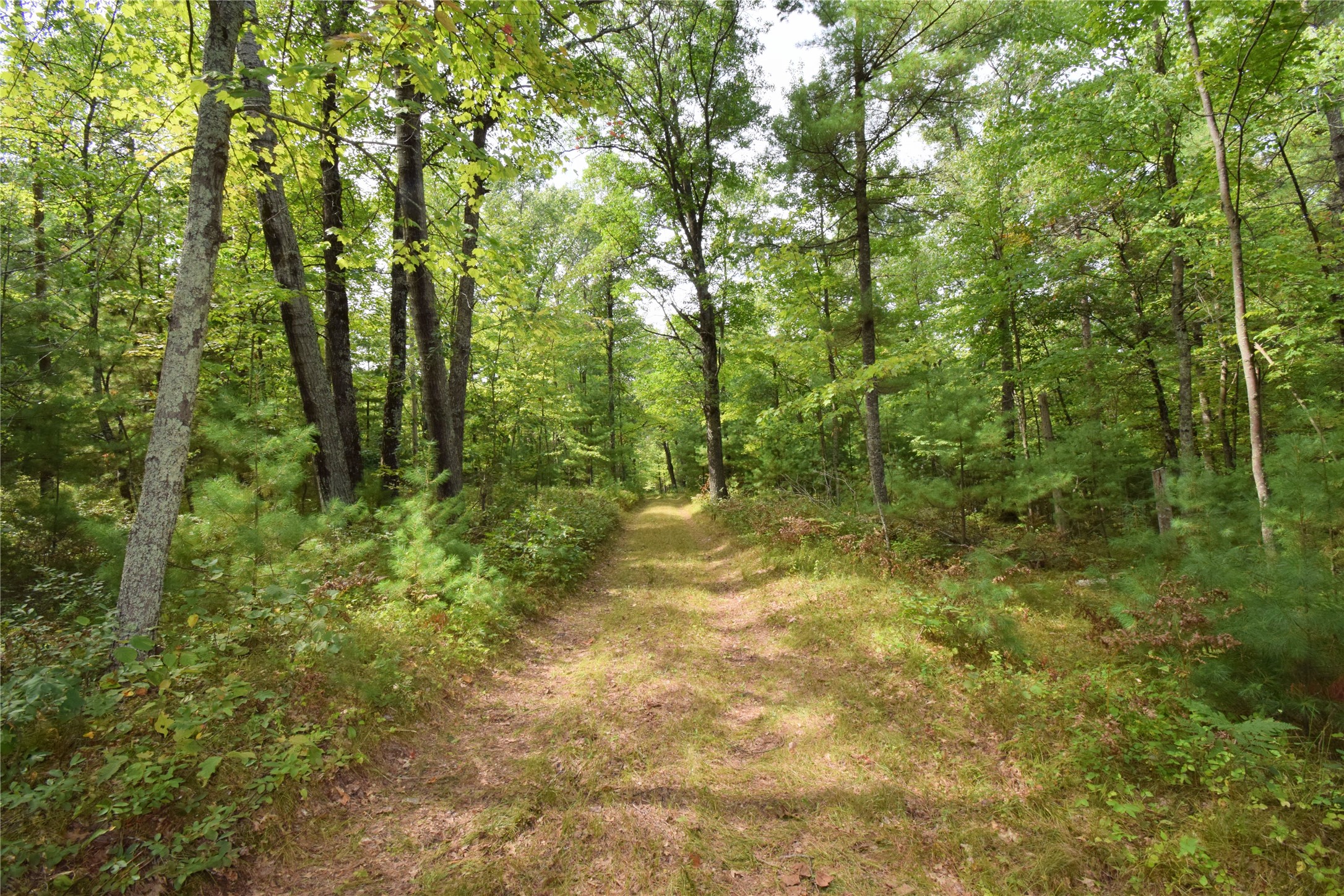 28206 Pardun Road Property Photo 28