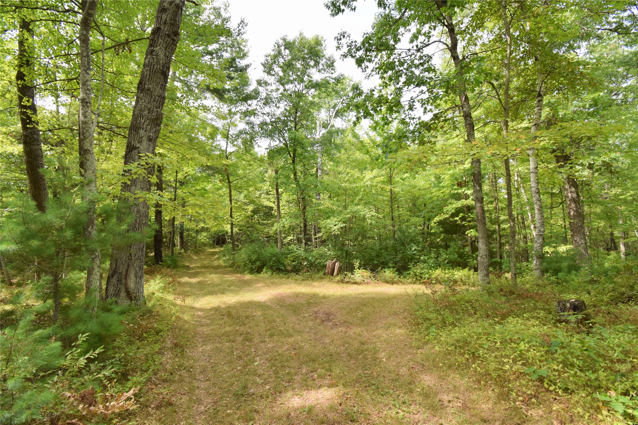 28206 Pardun Road Property Photo 29