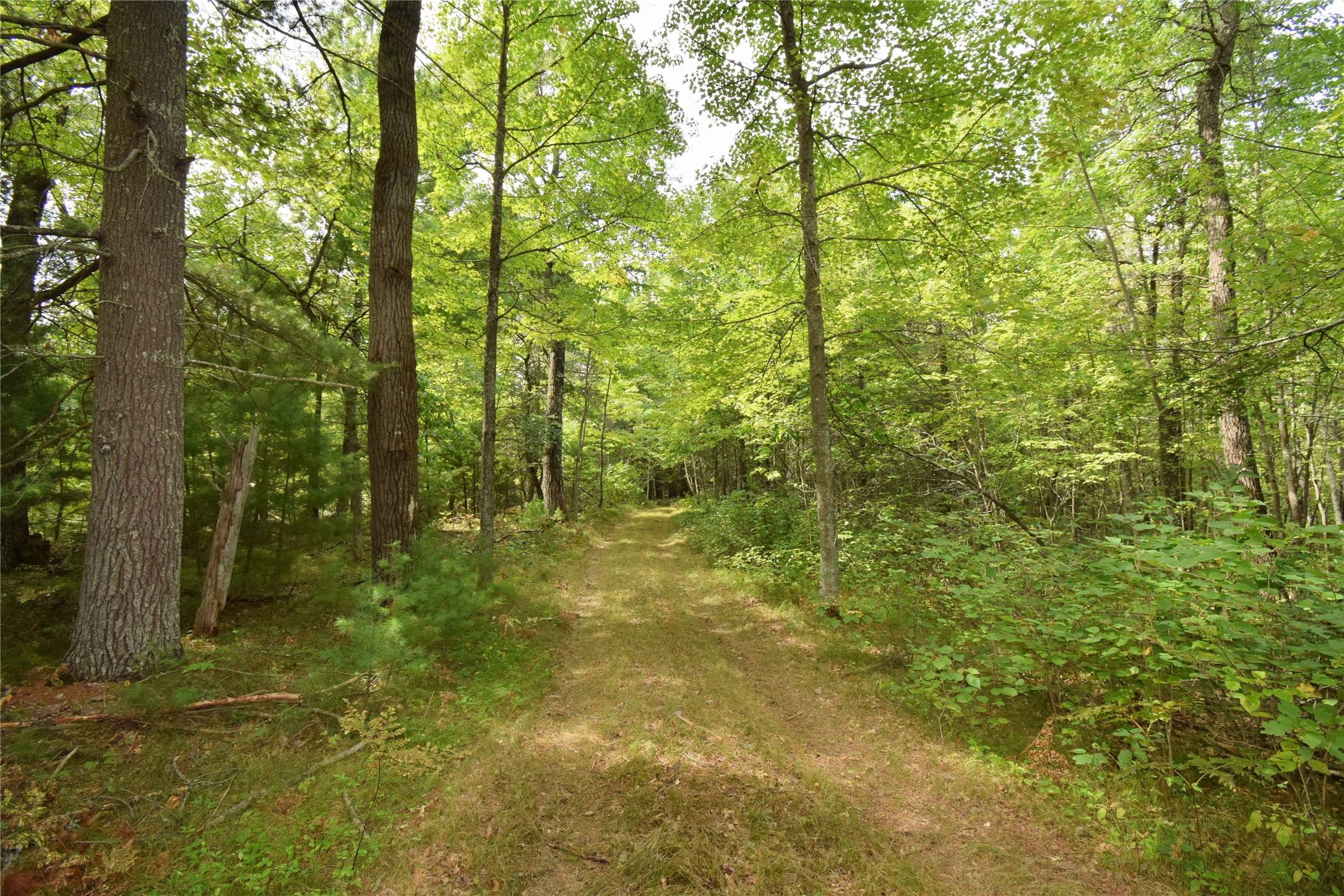 28206 Pardun Road Property Photo 30