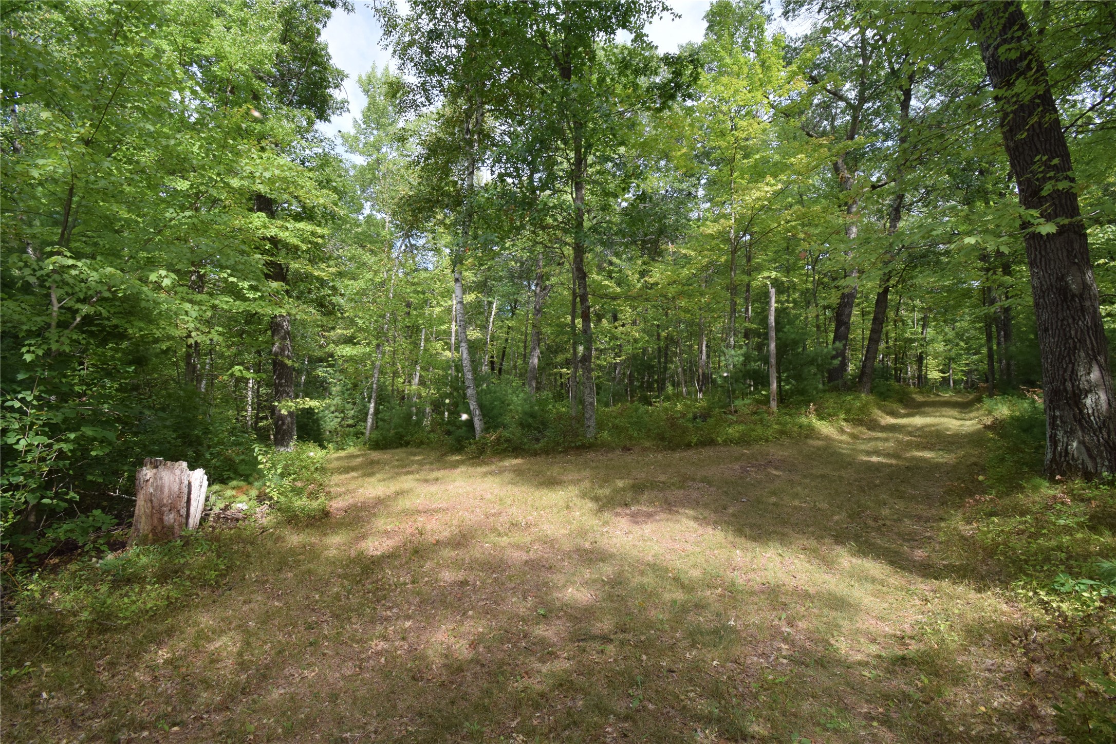 28206 Pardun Road Property Photo 31