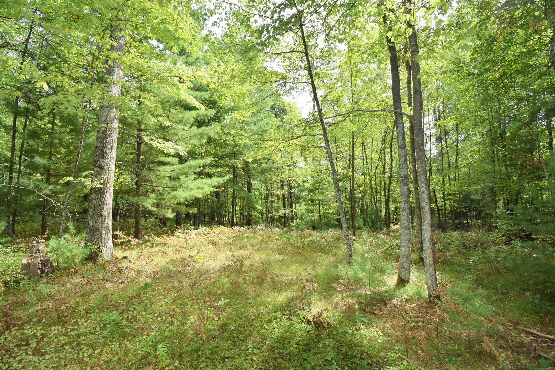 28206 Pardun Road Property Photo 32