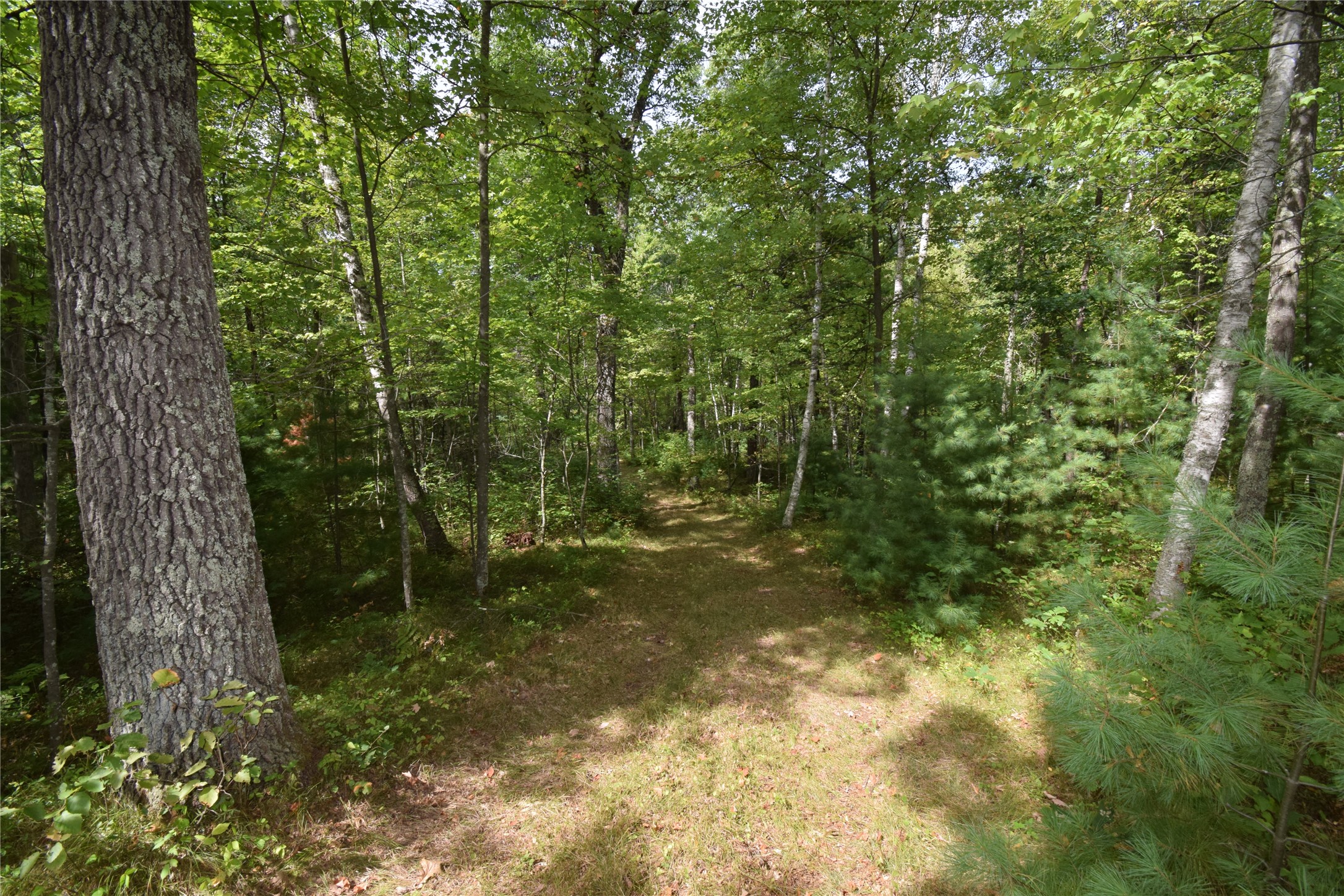 28206 Pardun Road Property Photo 33