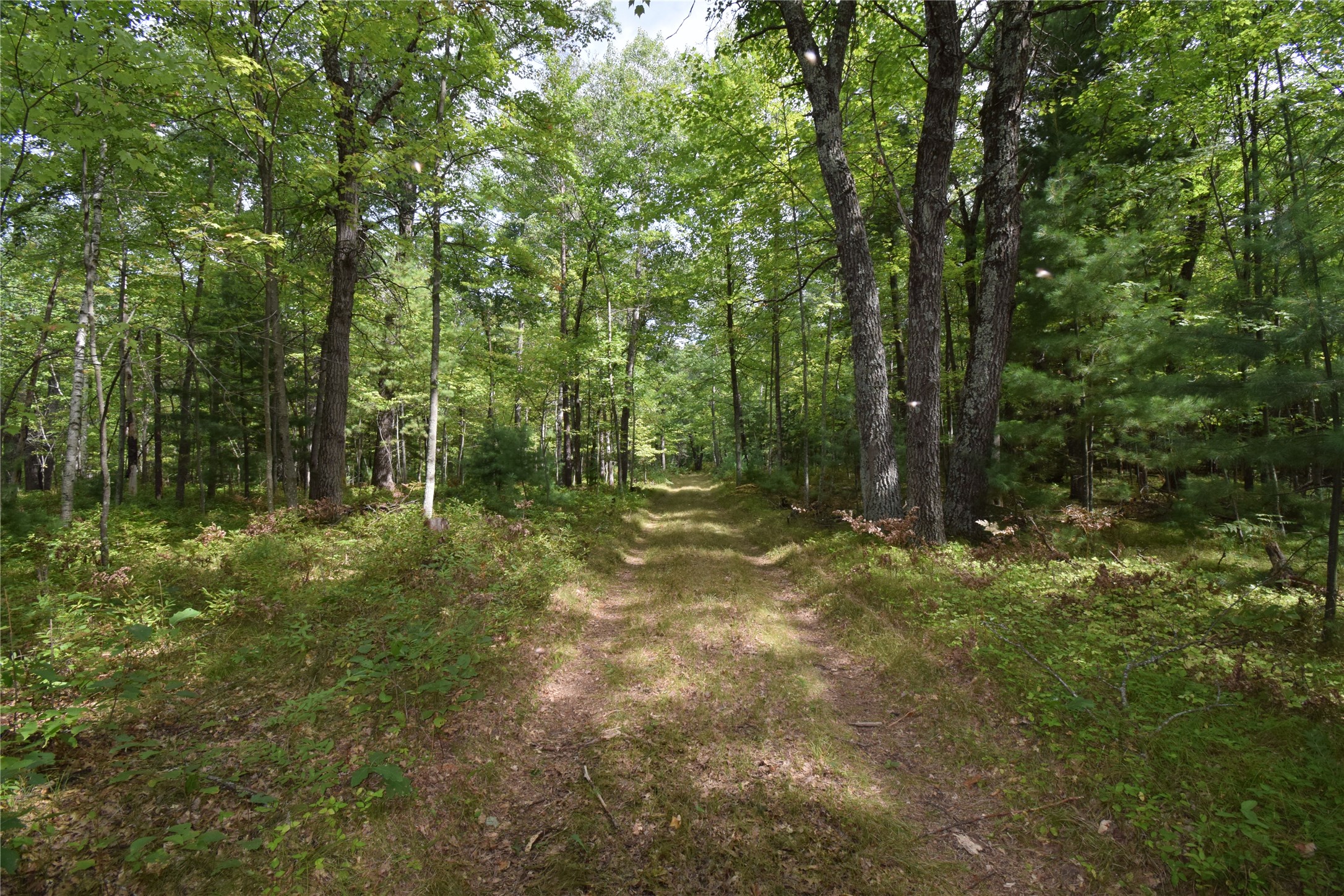 28206 Pardun Road Property Photo 34