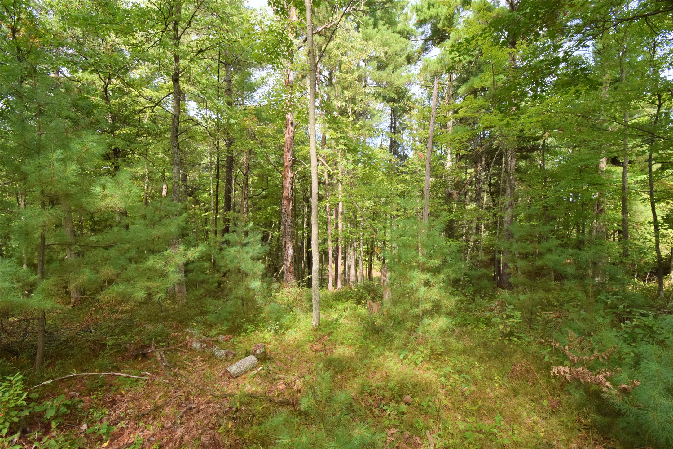 28206 Pardun Road Property Photo 35