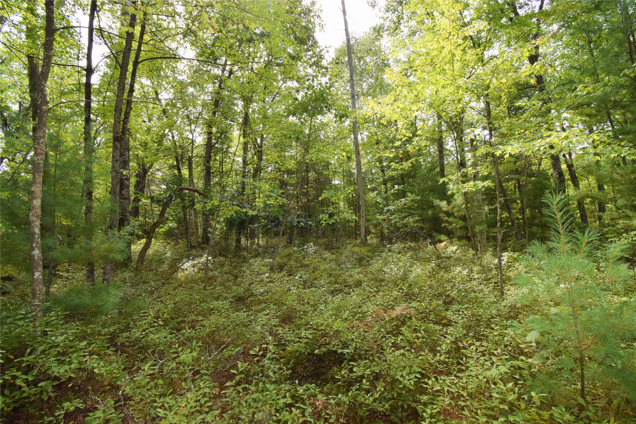 28206 Pardun Road Property Photo 36