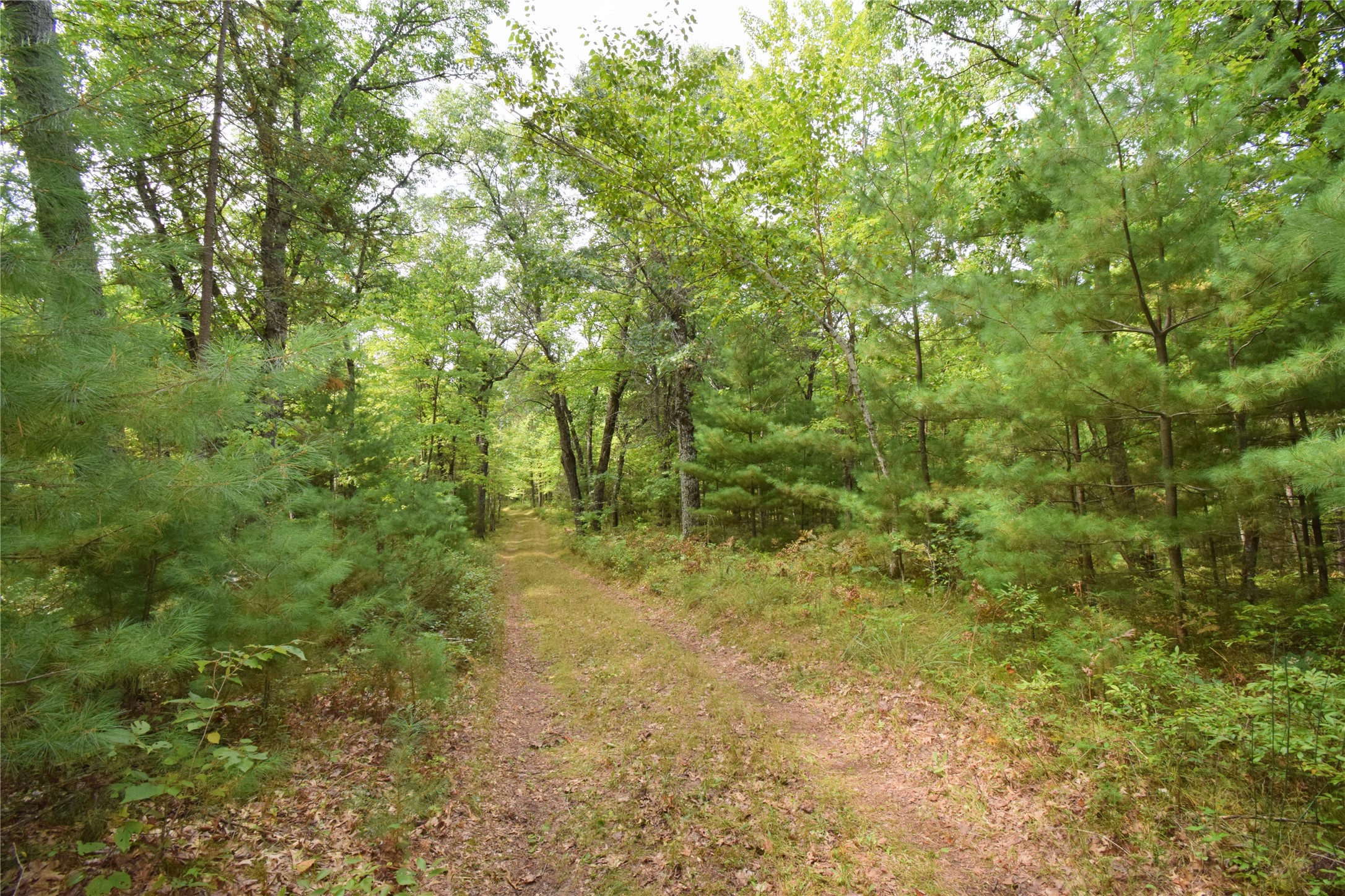28206 Pardun Road Property Photo 37