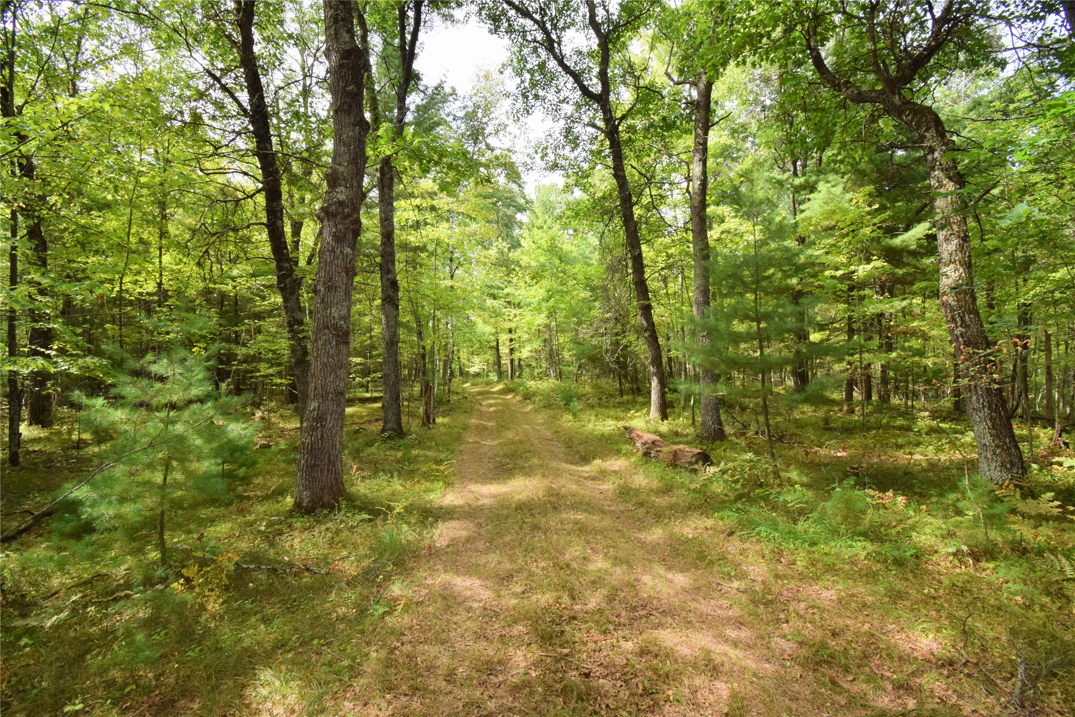 28206 Pardun Road Property Photo 38
