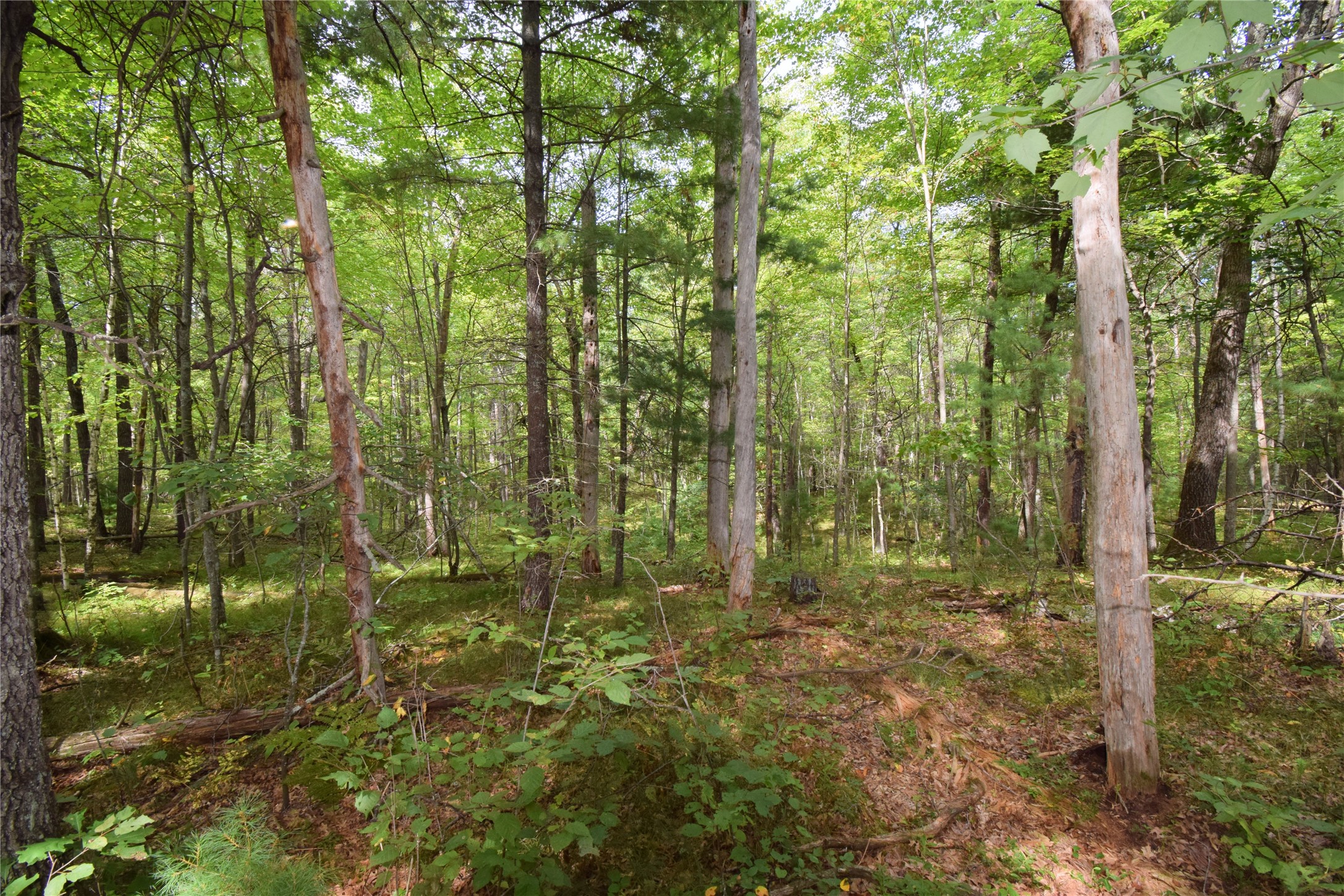 28206 Pardun Road Property Photo 39